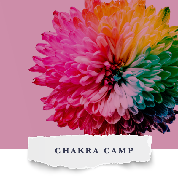 Chakra Camp.png