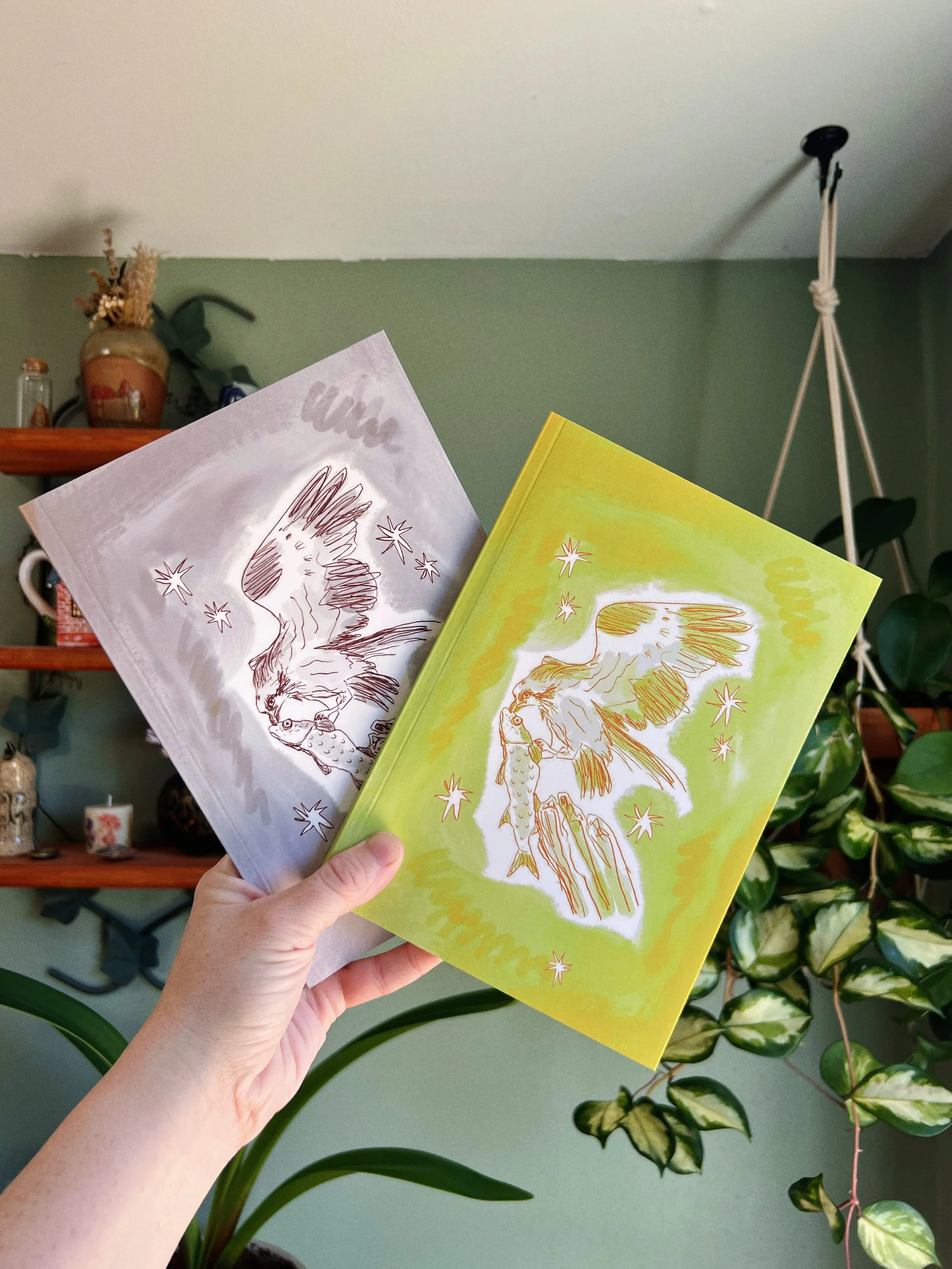 Osprey Sketchbook/Journal