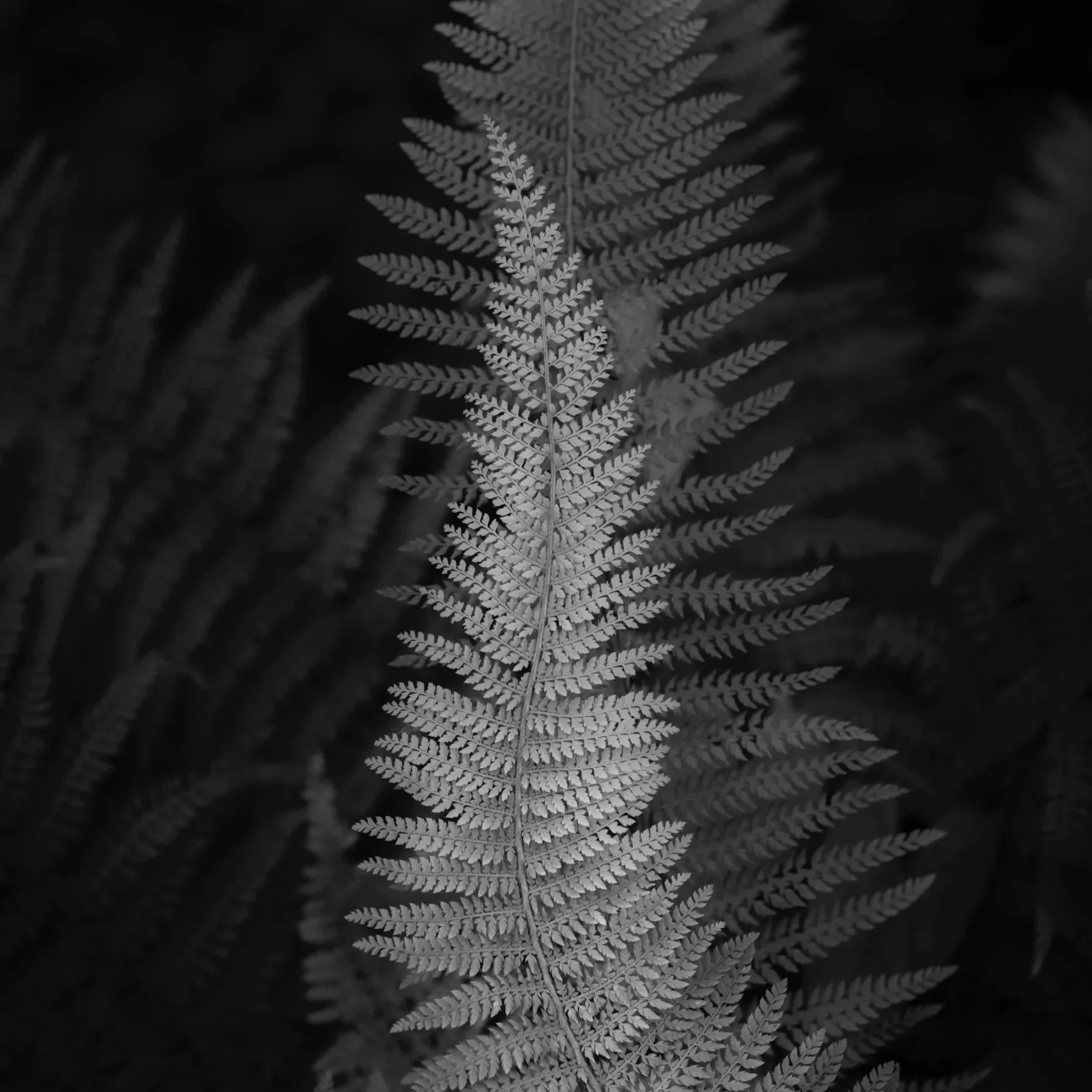 210814_cotswolds_059.jpg