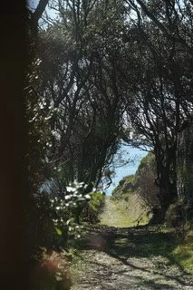 IMG_6107.jpeg