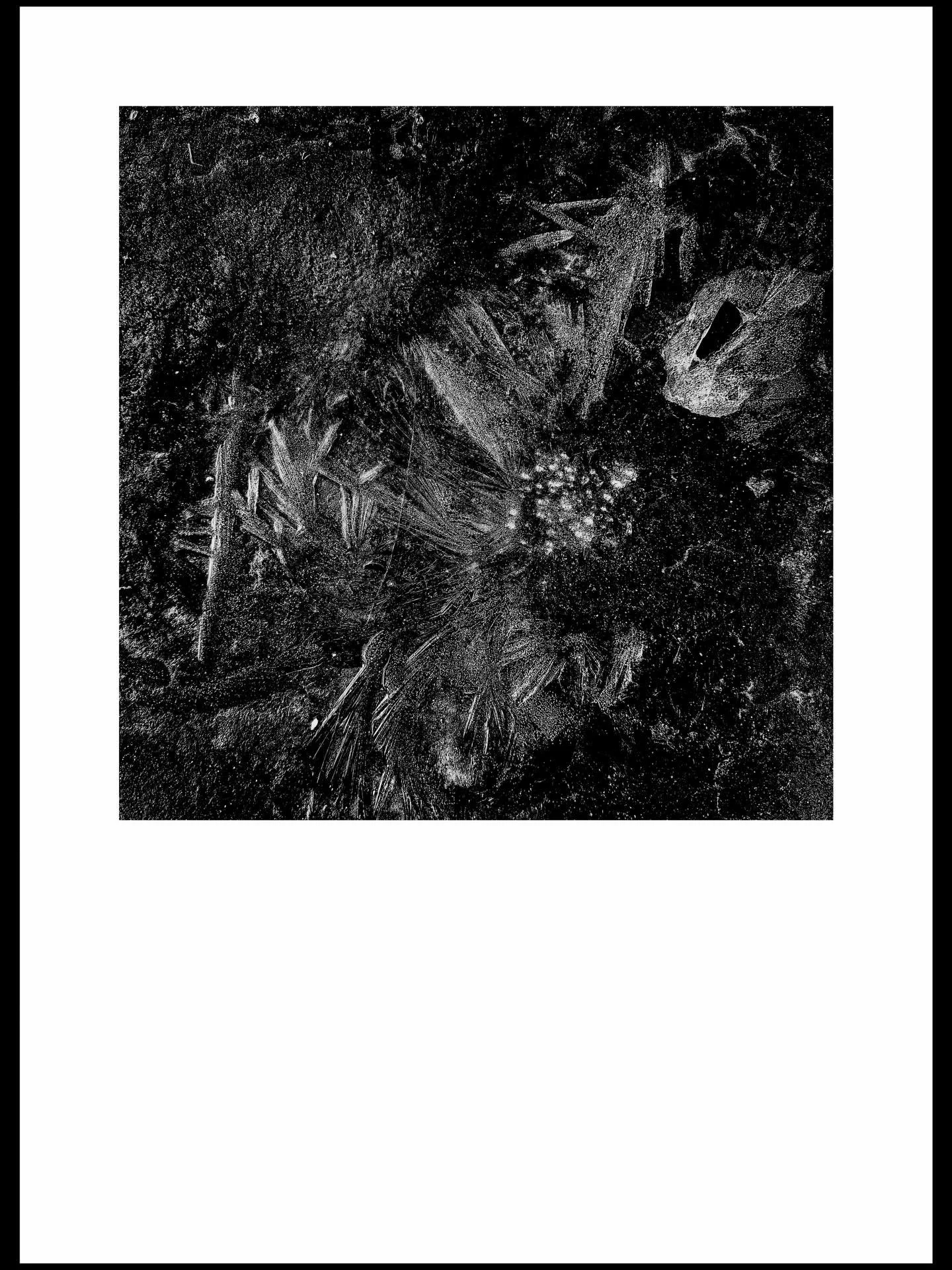 I&rsquo;ve been forced to slow down to a stop - the broken ankle sustained on New Year&rsquo;s Day has made me change every plan for January. Because of the fact I can&rsquo;t get out and photograph the wintery conditions I&rsquo;m finding great joy 