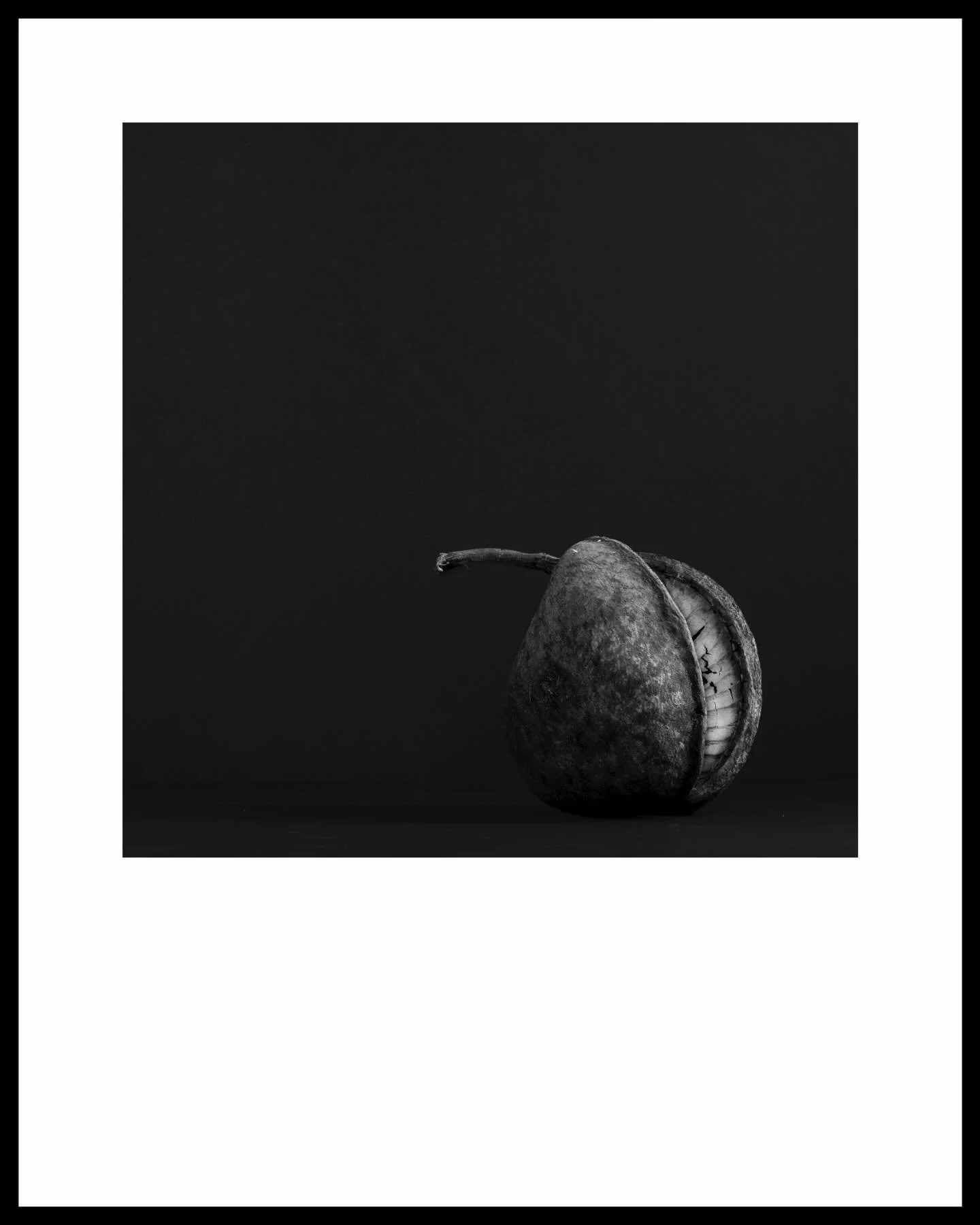 This image was made during and interview with @darkcornwall , we were talking about what inspires me to make images - I discussed connection, text, emotion and listening to the subject, all while rolling this Buddha Nut in my hands. Making photograph