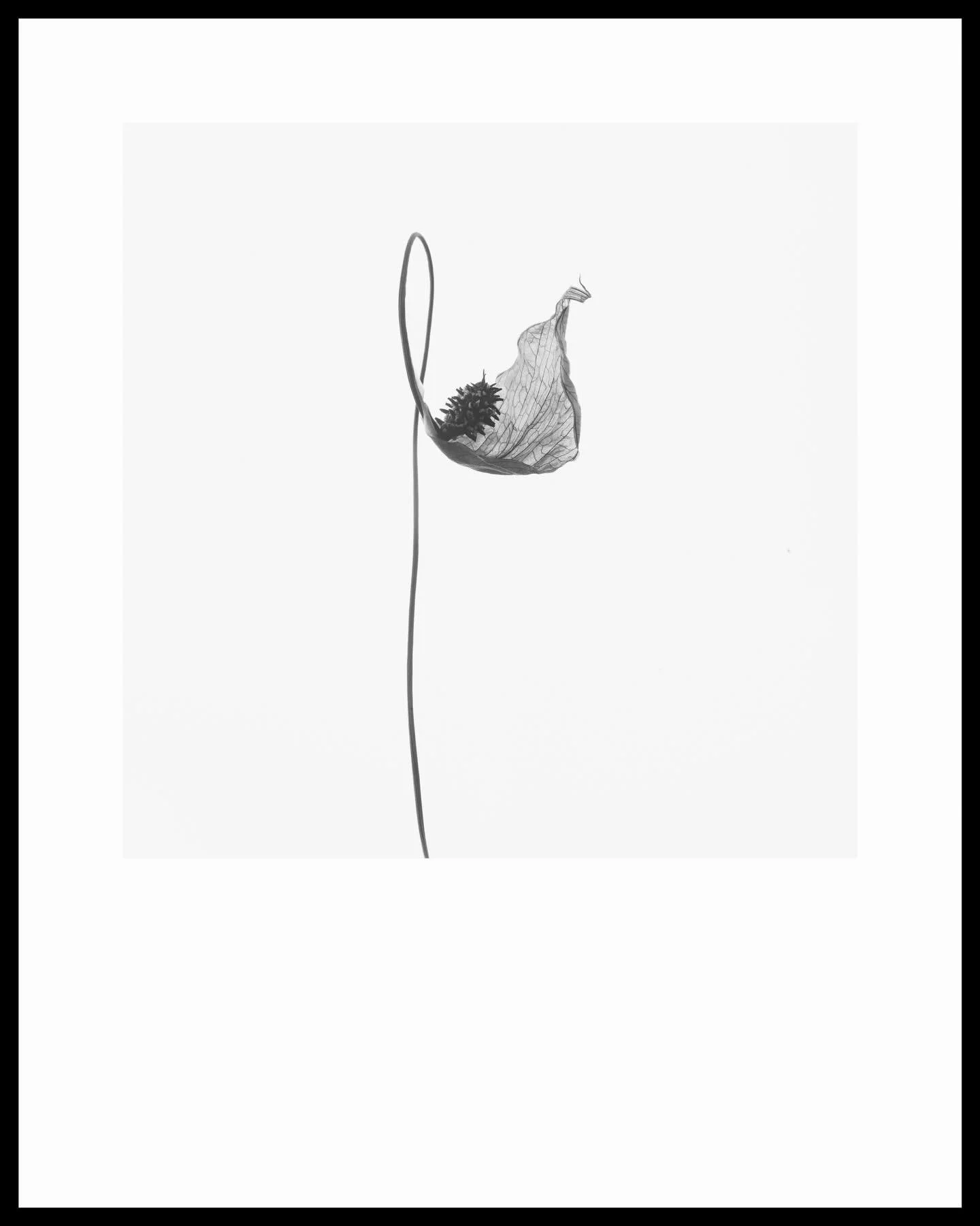 In a world where peace seems a foreign concept it is more important than ever to find our own peace - while not forgetting the crisis the world is in. With 24hr rolling news it can be overwhelming even for those of us not directly affected by the con