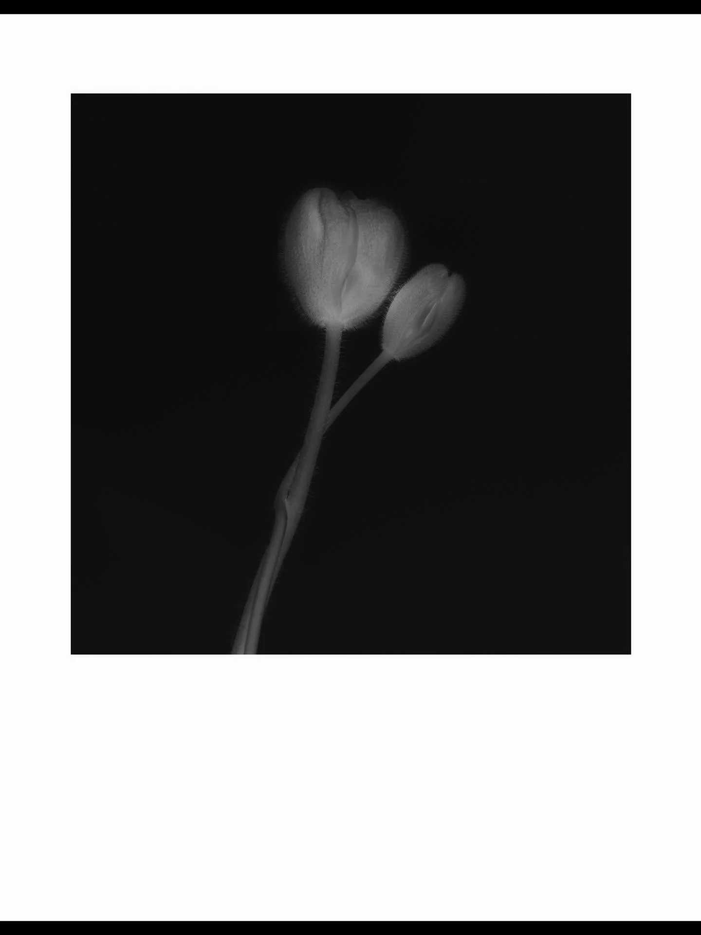 What&rsquo;s love got to do with photography? Firstly it&rsquo;s important to ask what is photography? Photography is about an experience or moment that affects you in some way that you want to tell its story . That means for each of us it will be an