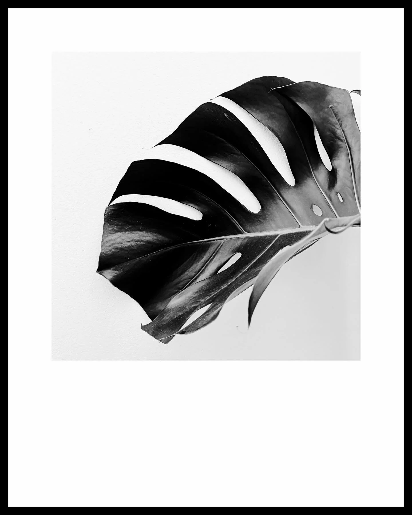 I&rsquo;ve spent a week leading a photography retreat on the beautiful Isle of Iona off the west coast of Scotland- the island allows time and space to really contemplate the beauty of the landscape but also throws some really curious little moments 