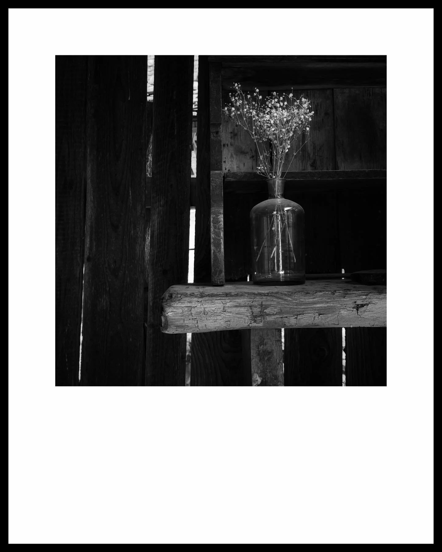 The incredible beauty in random things, how often do you notice something that makes you think &lsquo; how unusual&rsquo; or&rsquo; isn&rsquo;t that beautiful&rsquo;? Those moments are deliberately in our day to help us slow down and pay attention to