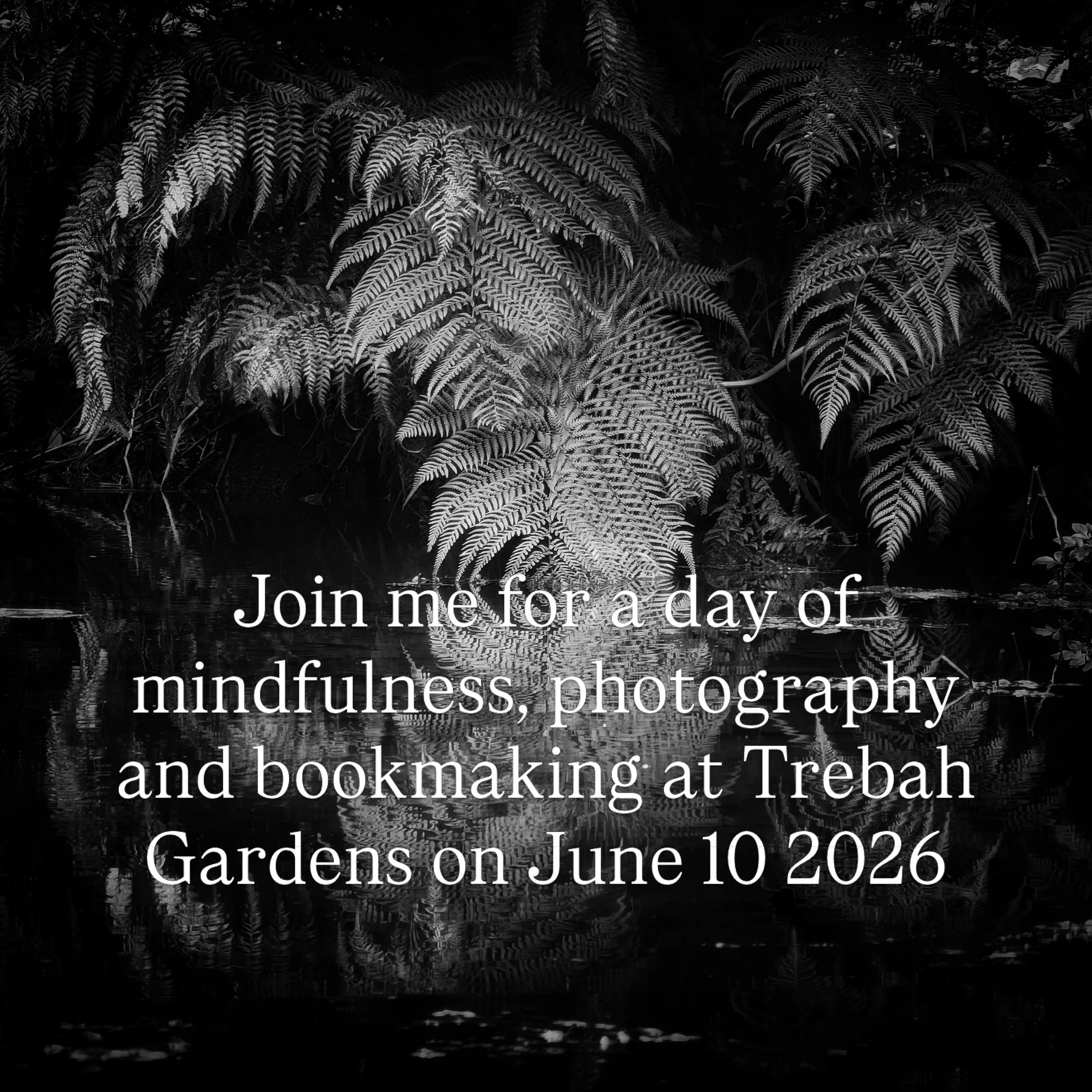 Join me for a single day workshop using mindful photography to discover the often overlooked beauty within the stunning surroundings of @trebahgardencornwall on June 10, 2026. You be guided through the process of a mindful approach to photography and