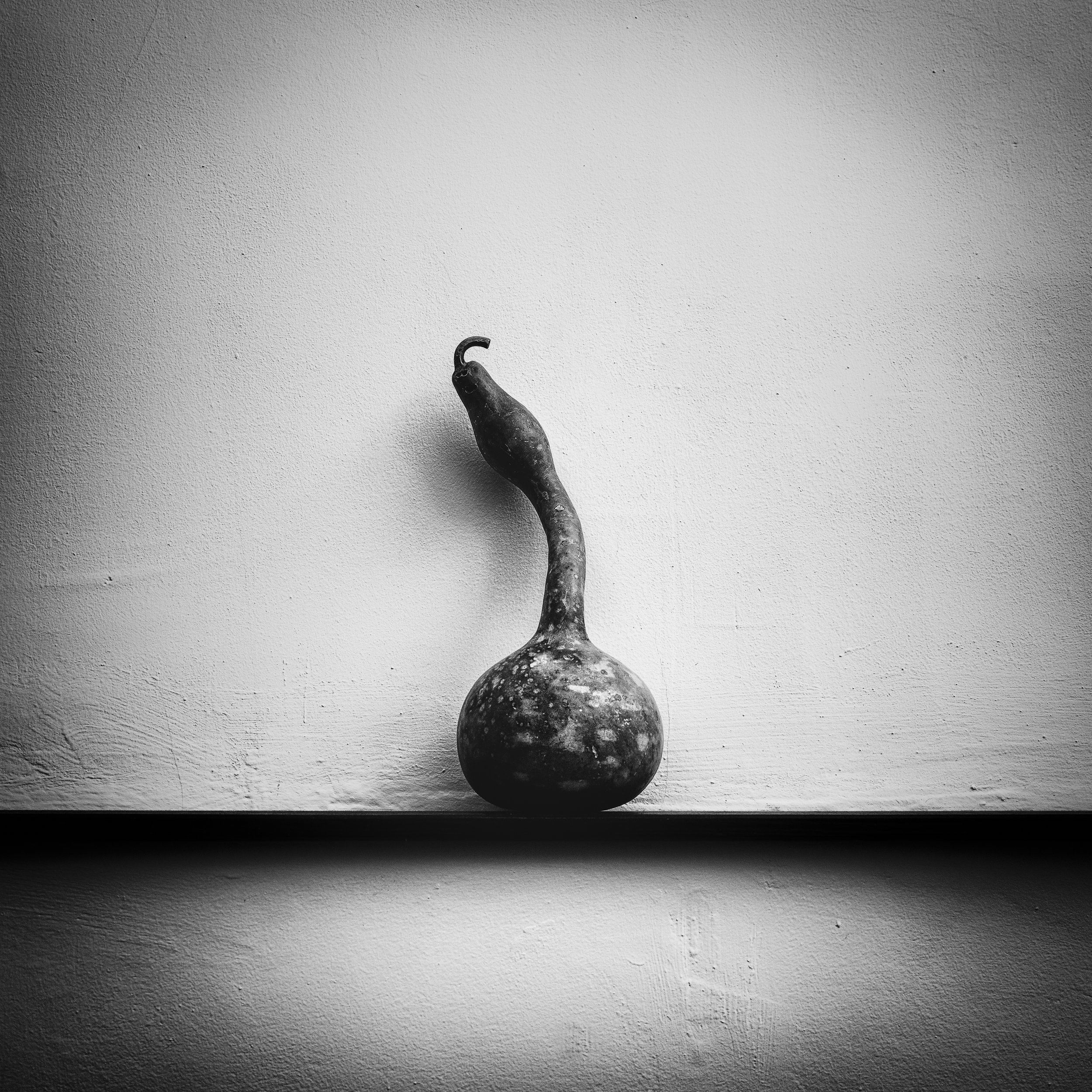 50mm images -13.jpg
