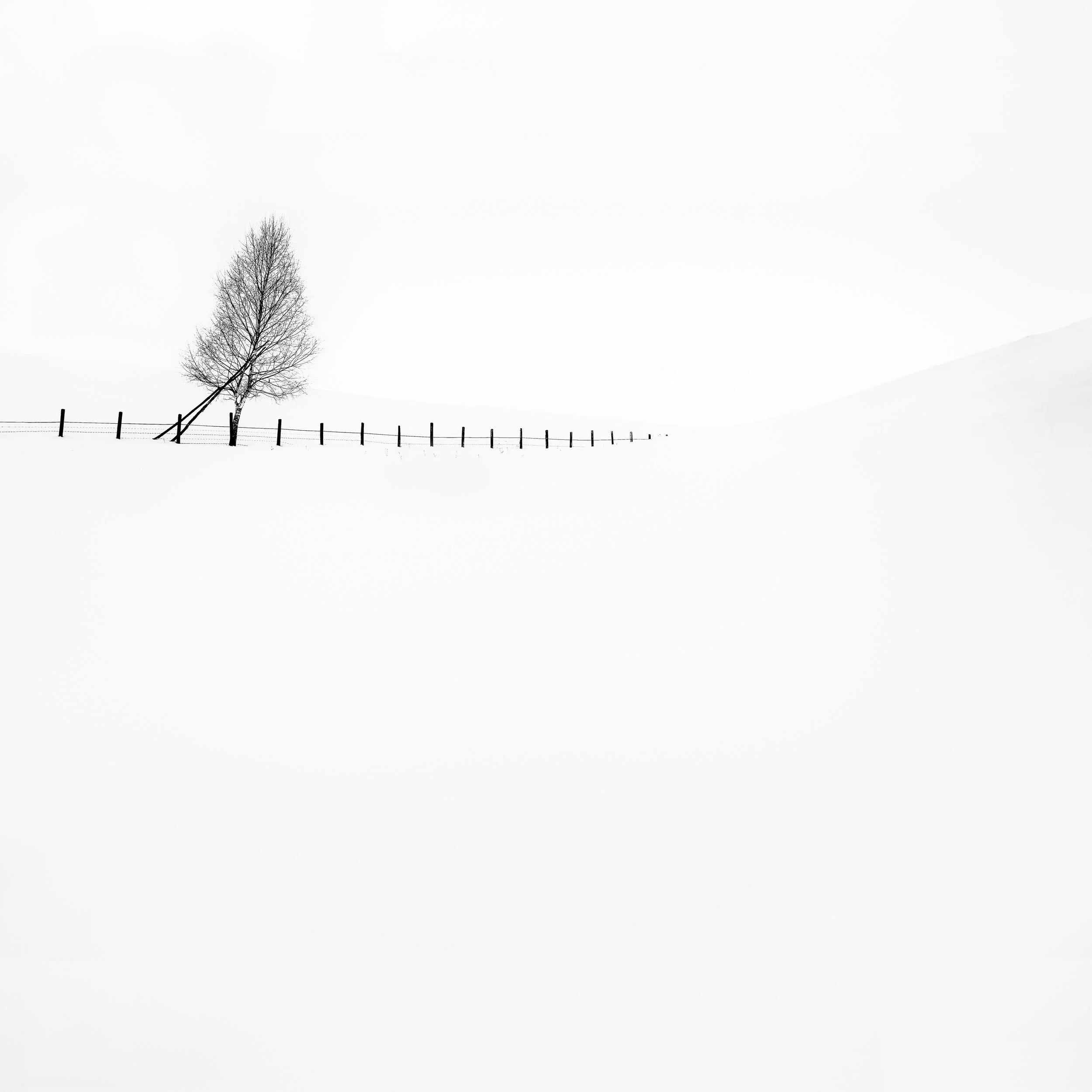 50mm images -12.jpg