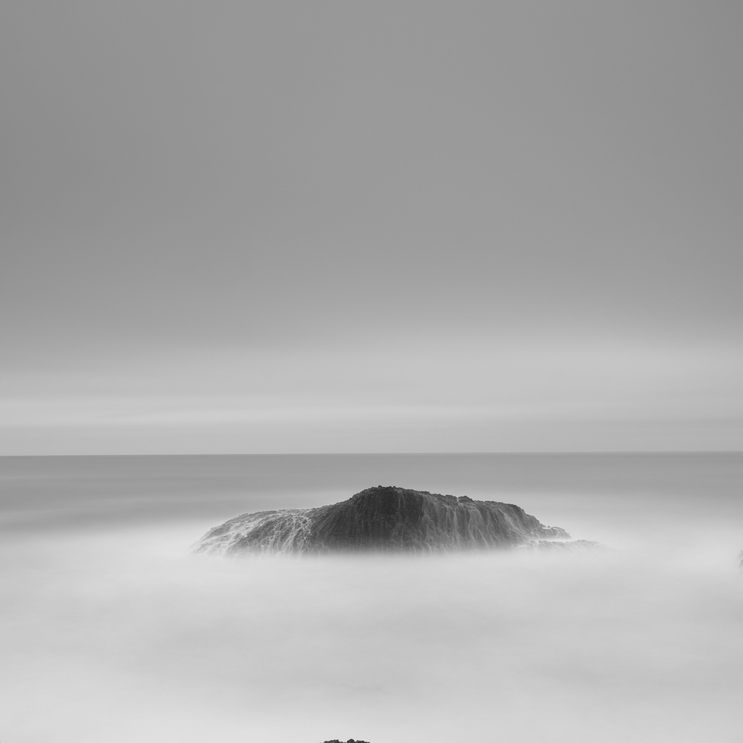 50mm images -9.jpg