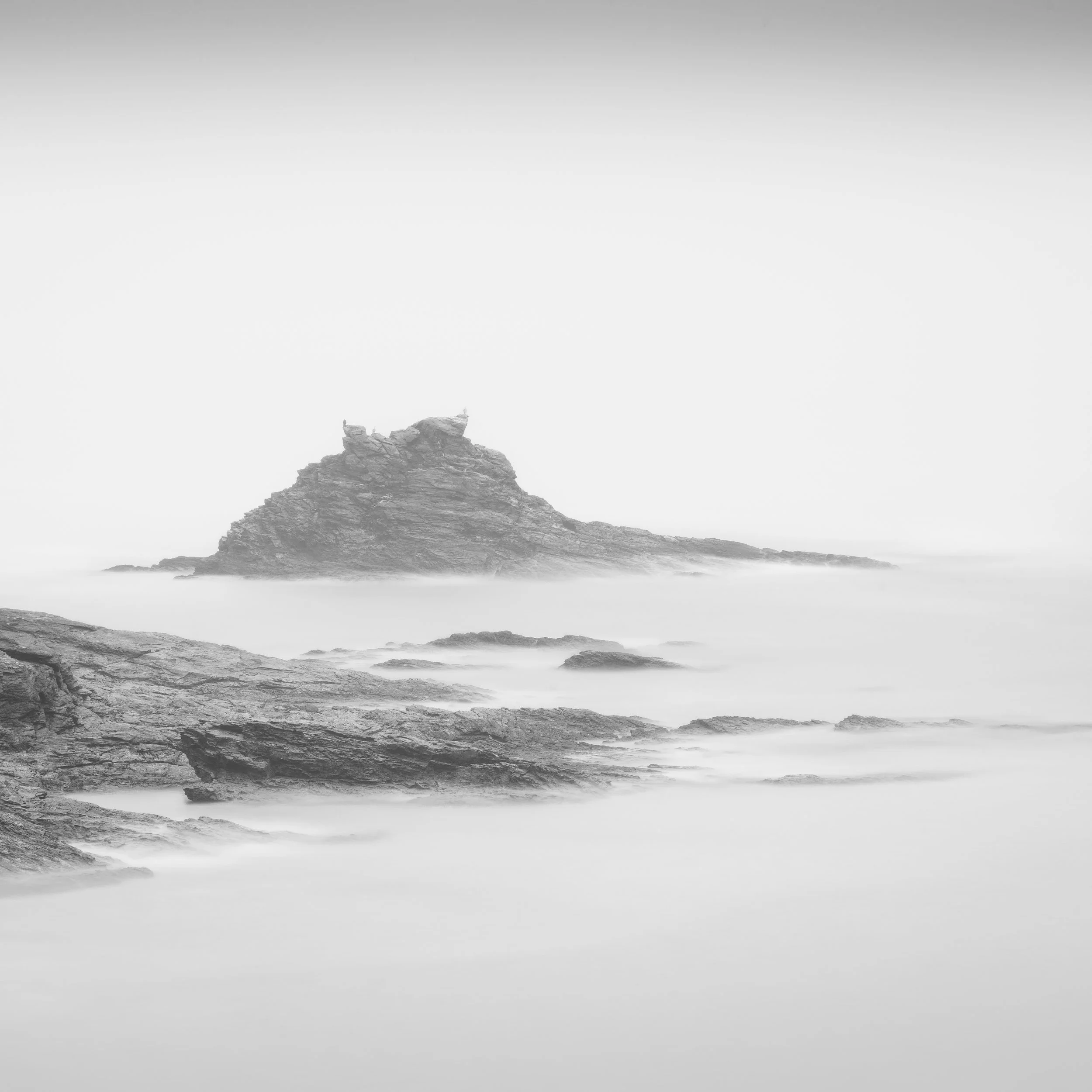 20250731-250731_Prussia Cove_015.jpg
