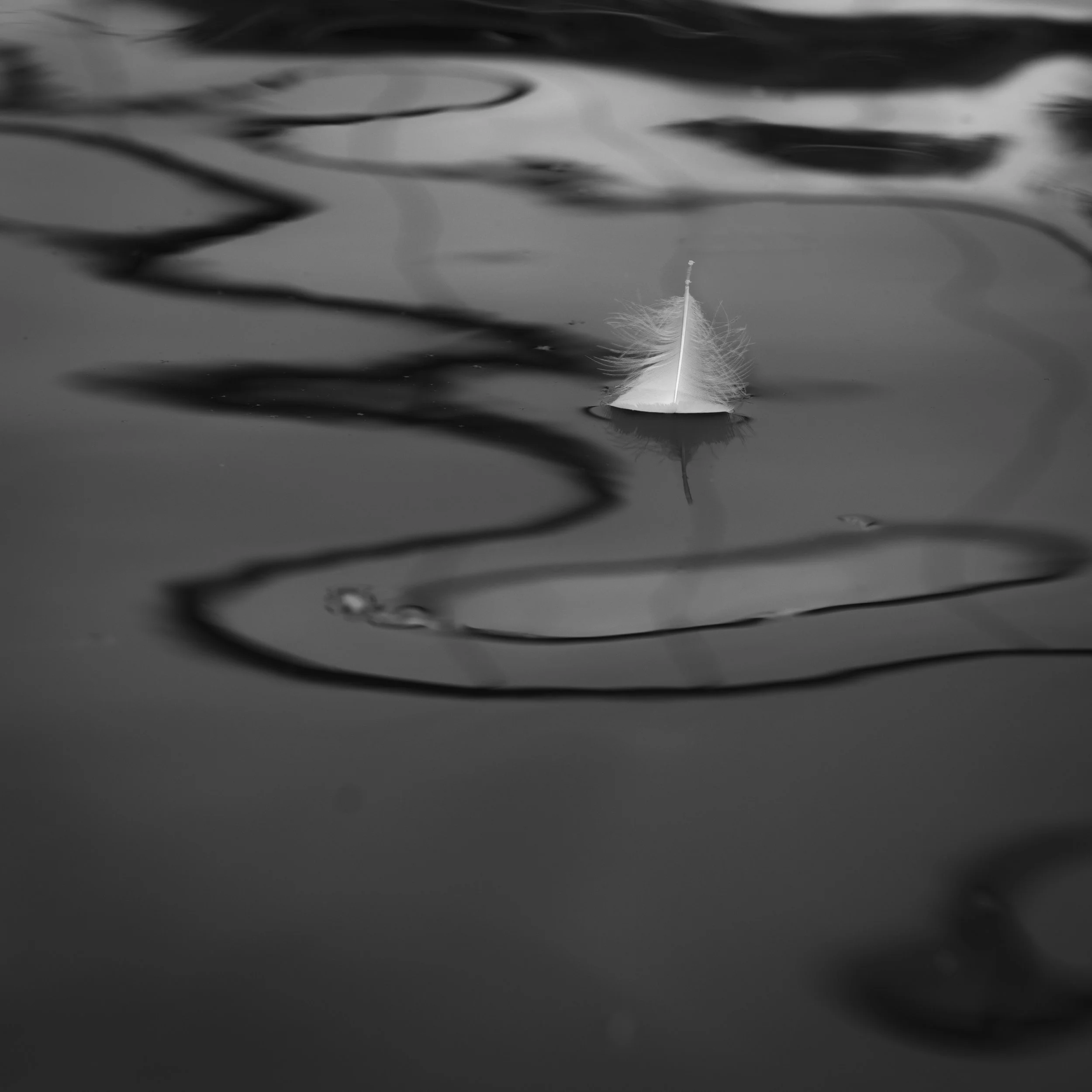 210514_BEDFORD_012-Edit copy.jpg