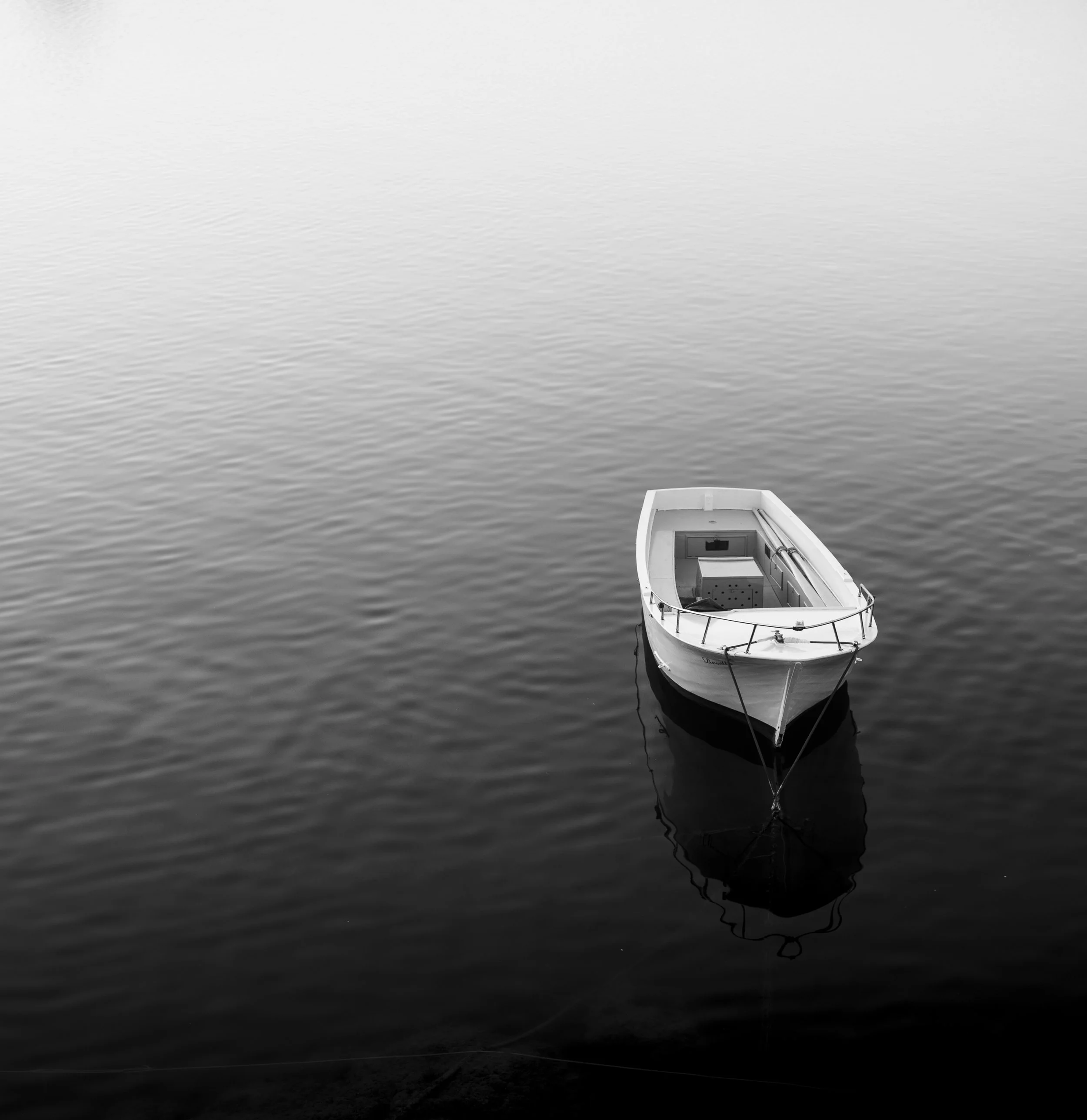 Fifty Fifty: One lens. One Year.