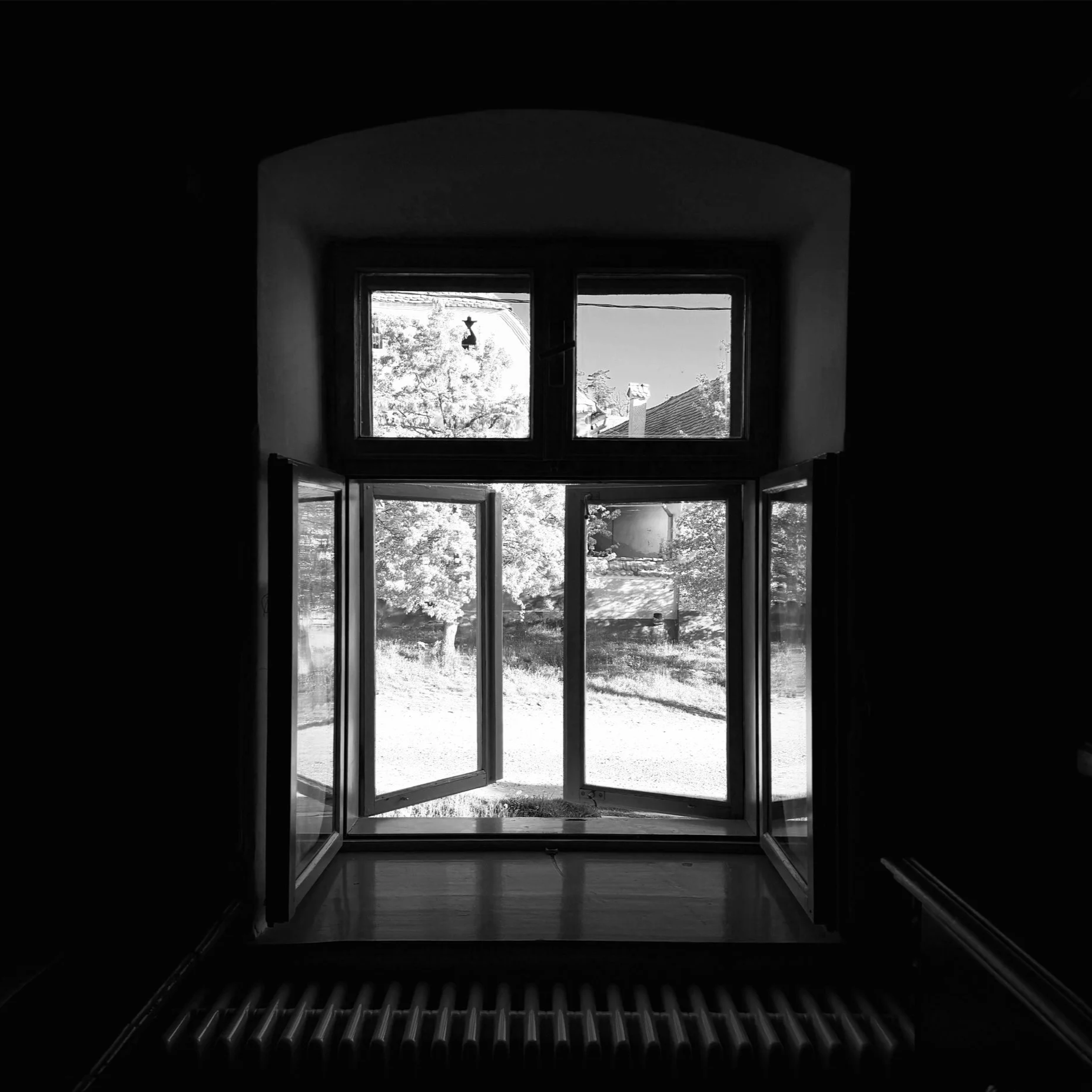 IMG_2355+3.png