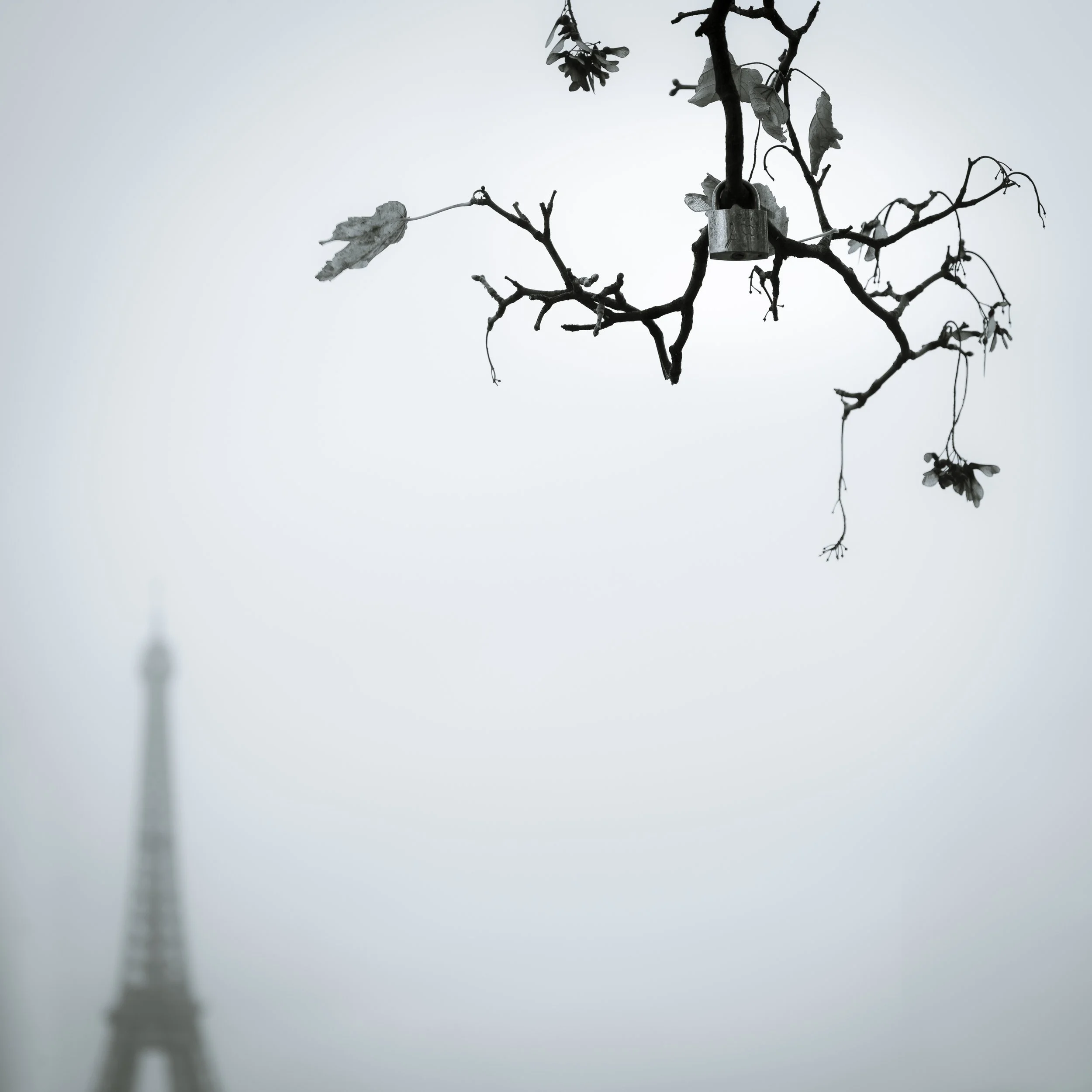 50mm images -20.jpg
