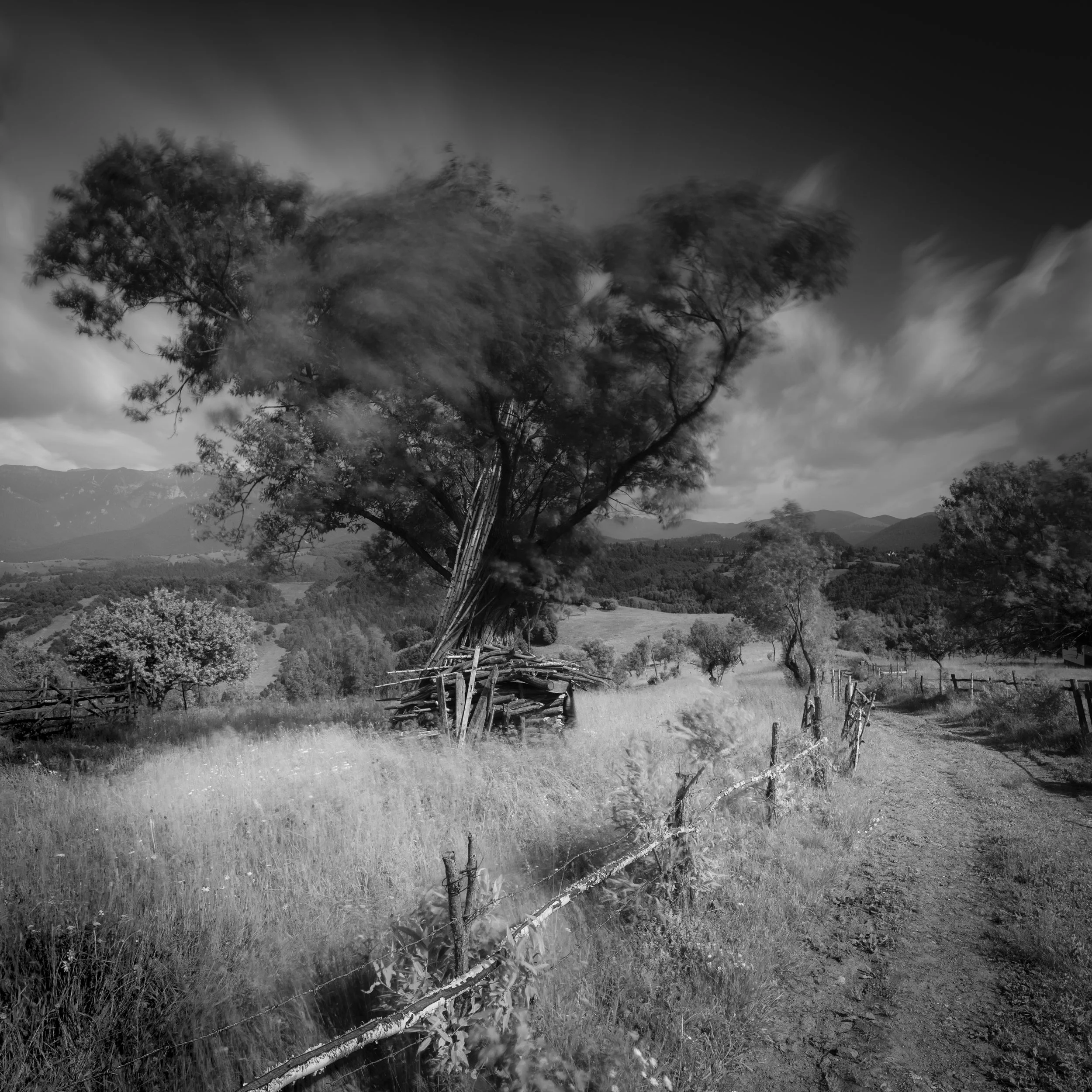 190620_untitled_042 copy.jpg
