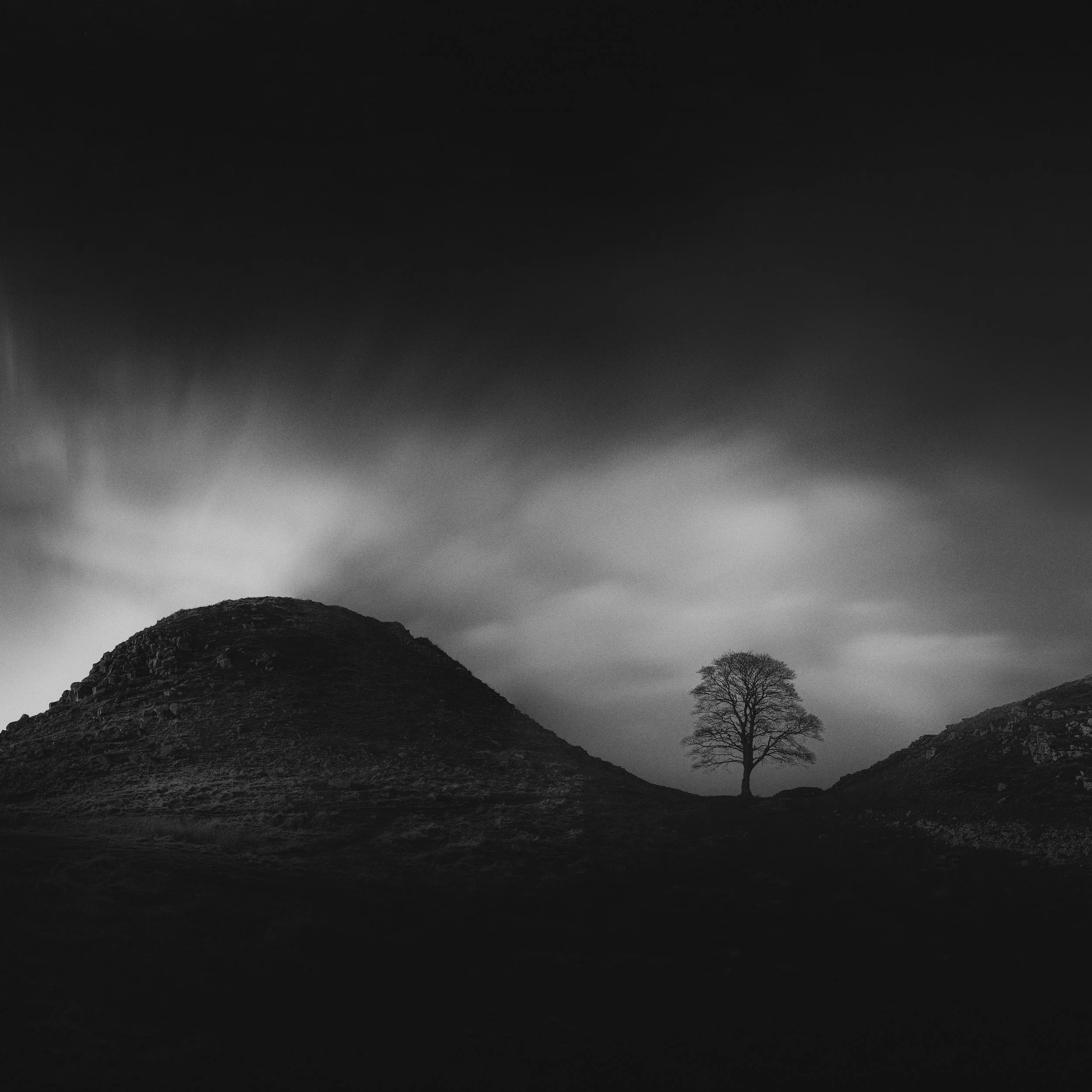 50mm images -10.jpg
