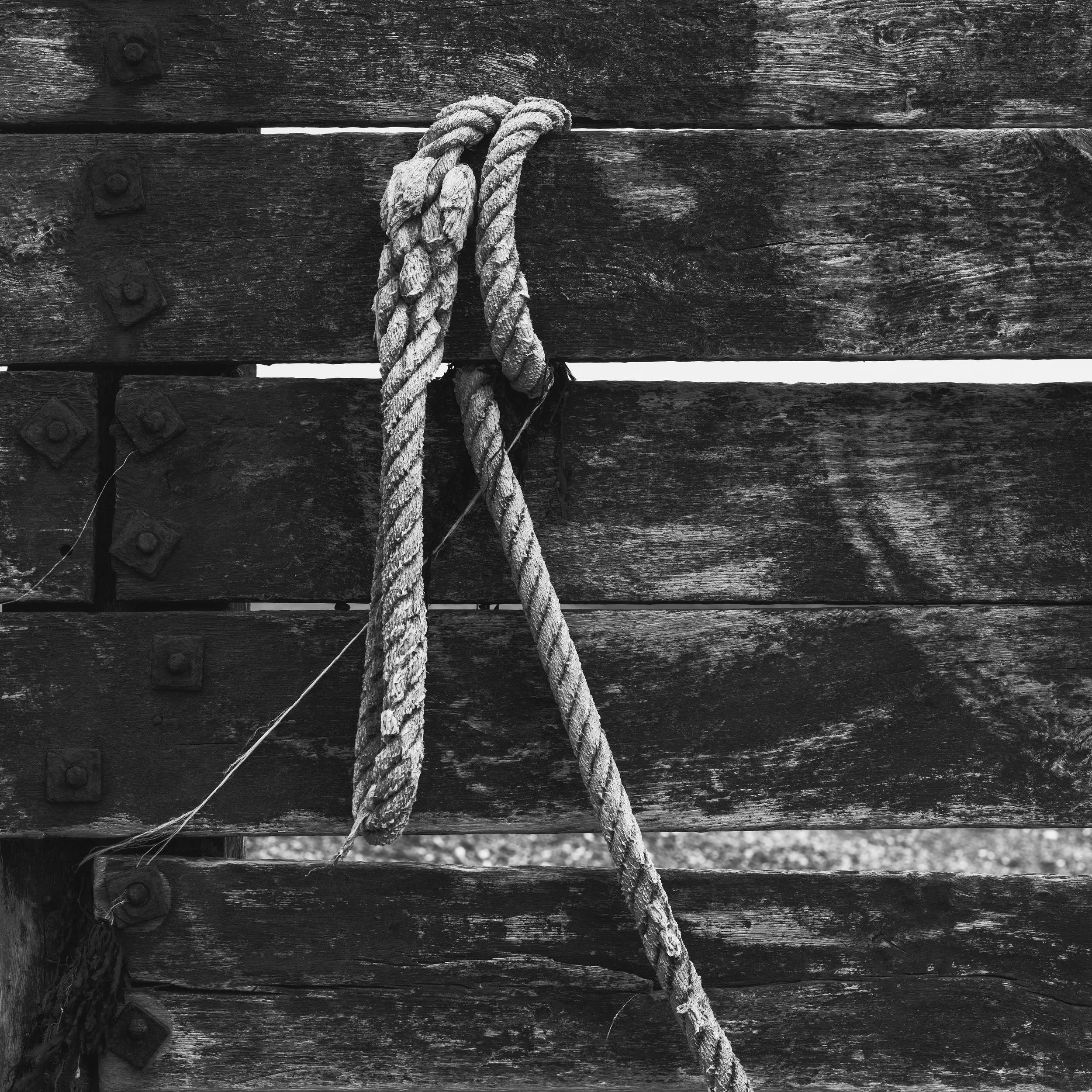 210222_gfx100s southdowns_166 copy.jpg