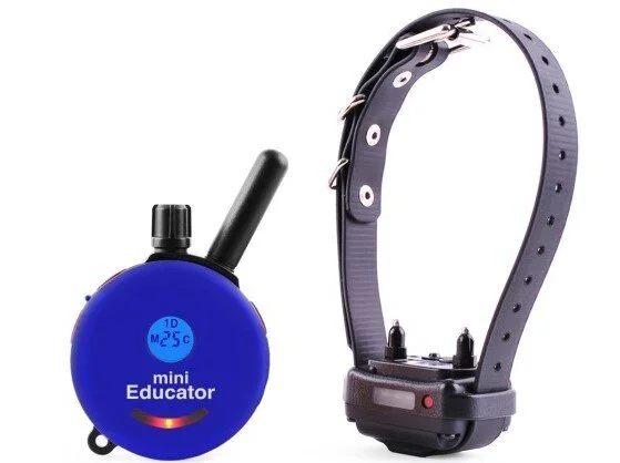 mini educator ET-300 Blue.jpg