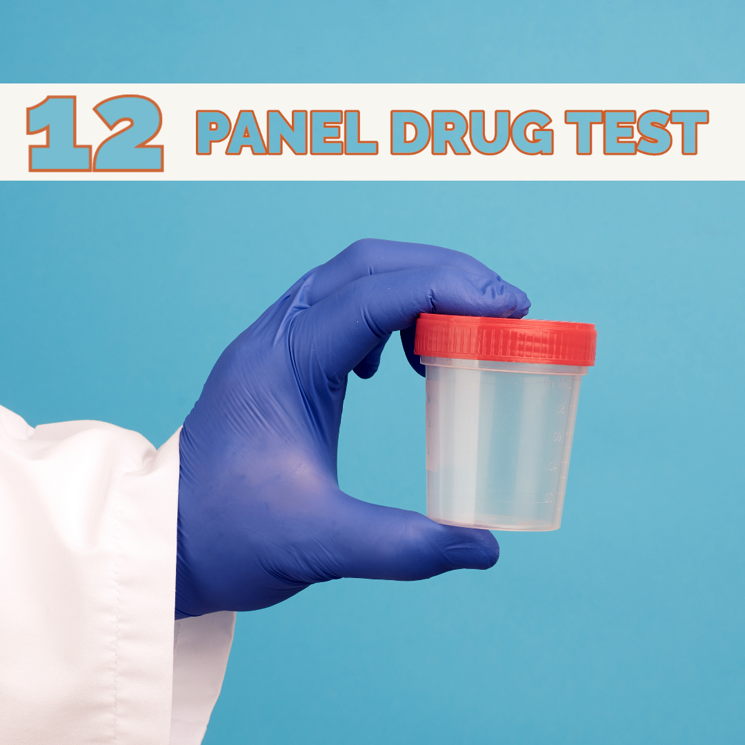 Basic Life Support (BLS) Certification — The Training Center Of Central