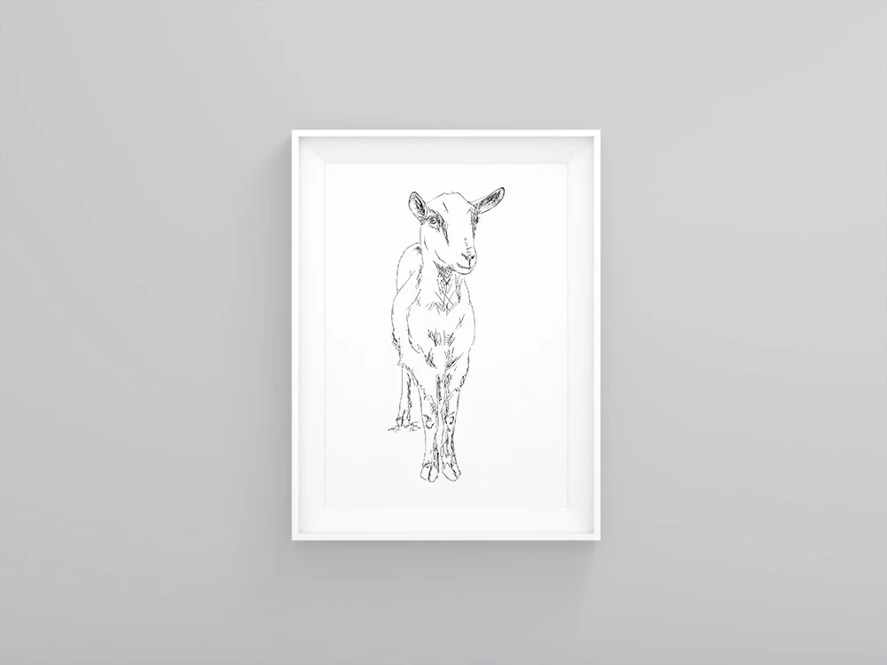 frame mockup 7.jpg