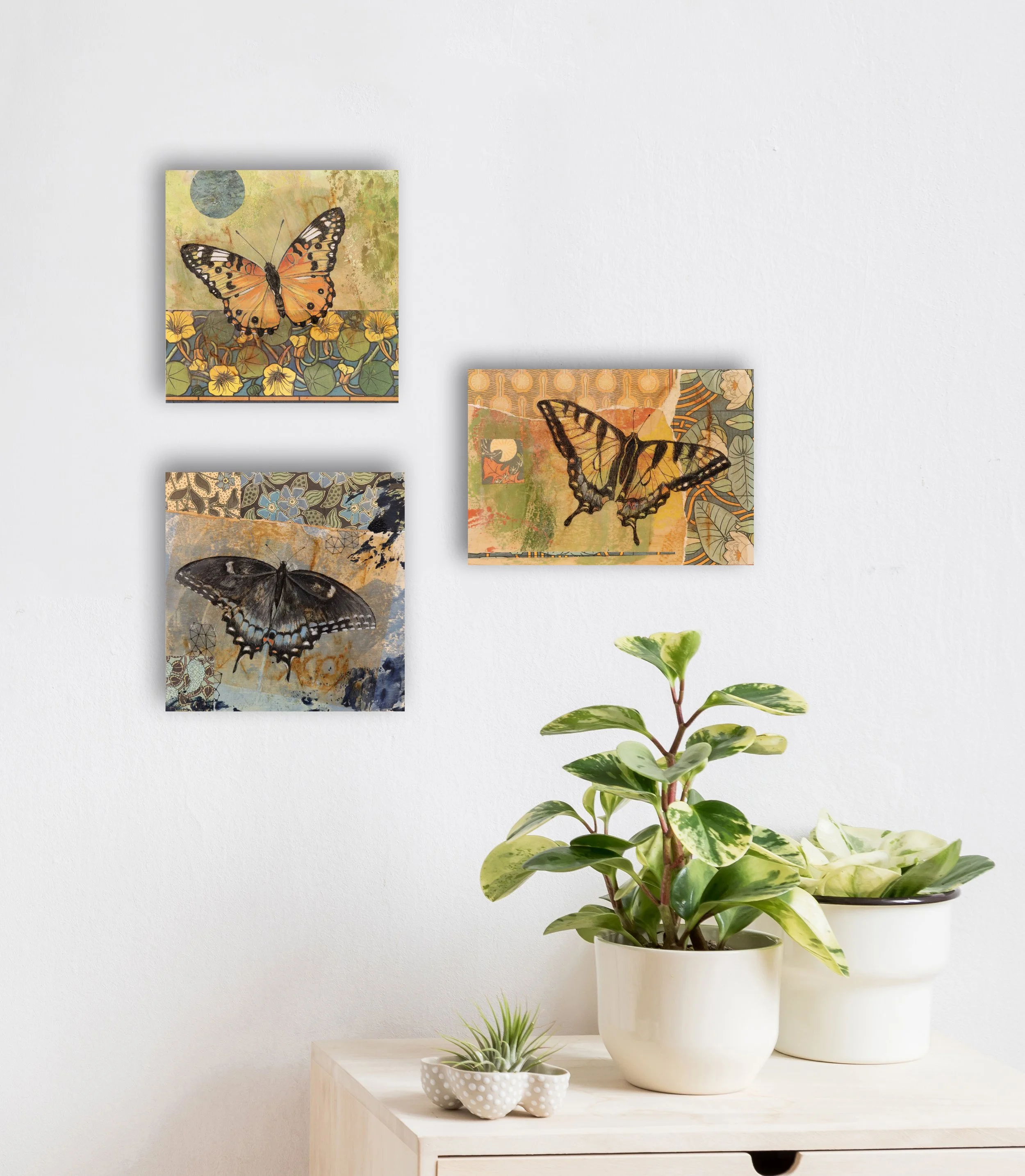 BUTTERFLY WALL 3 wall with plant .jpg