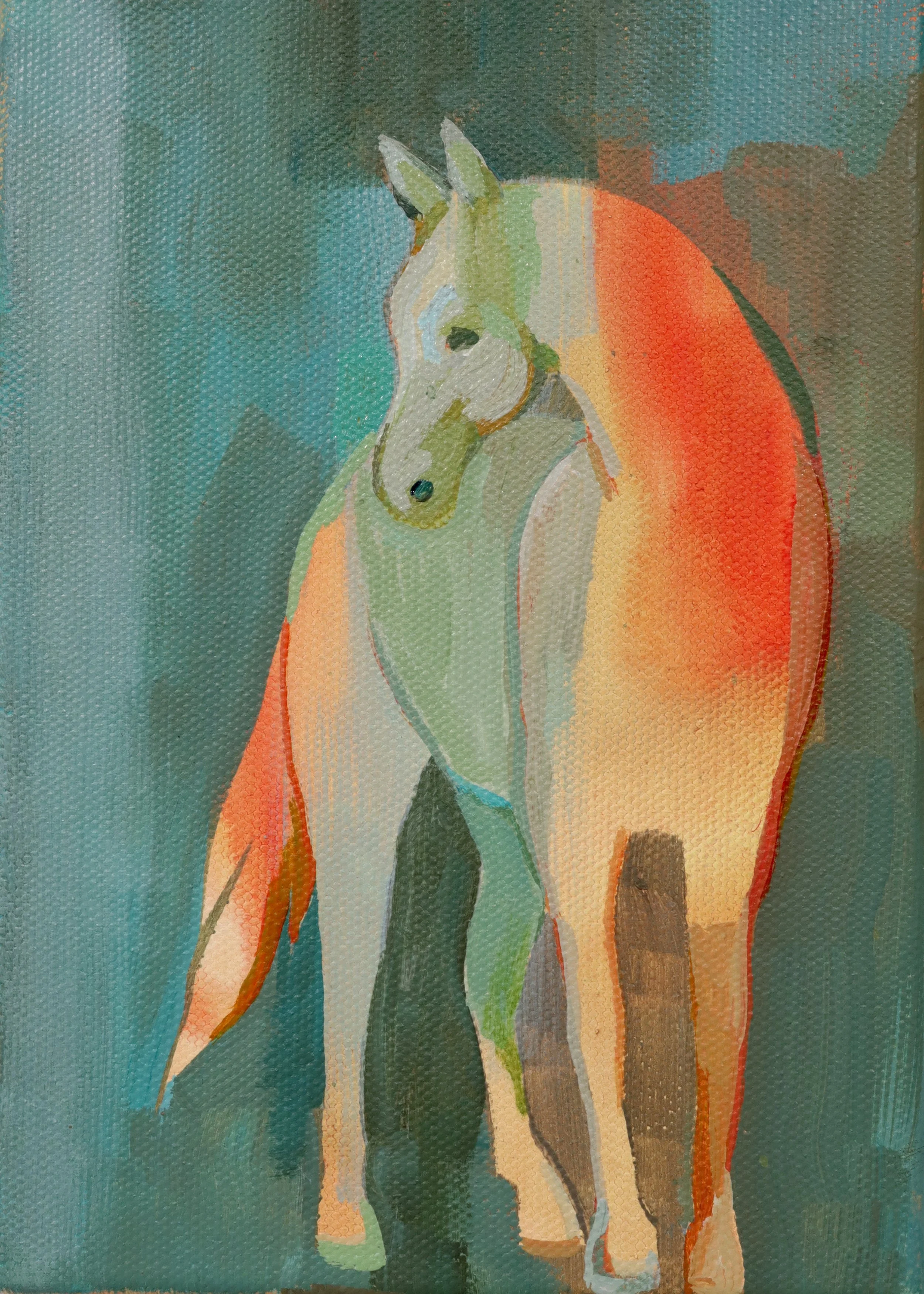 Bareback Summer 2.jpg