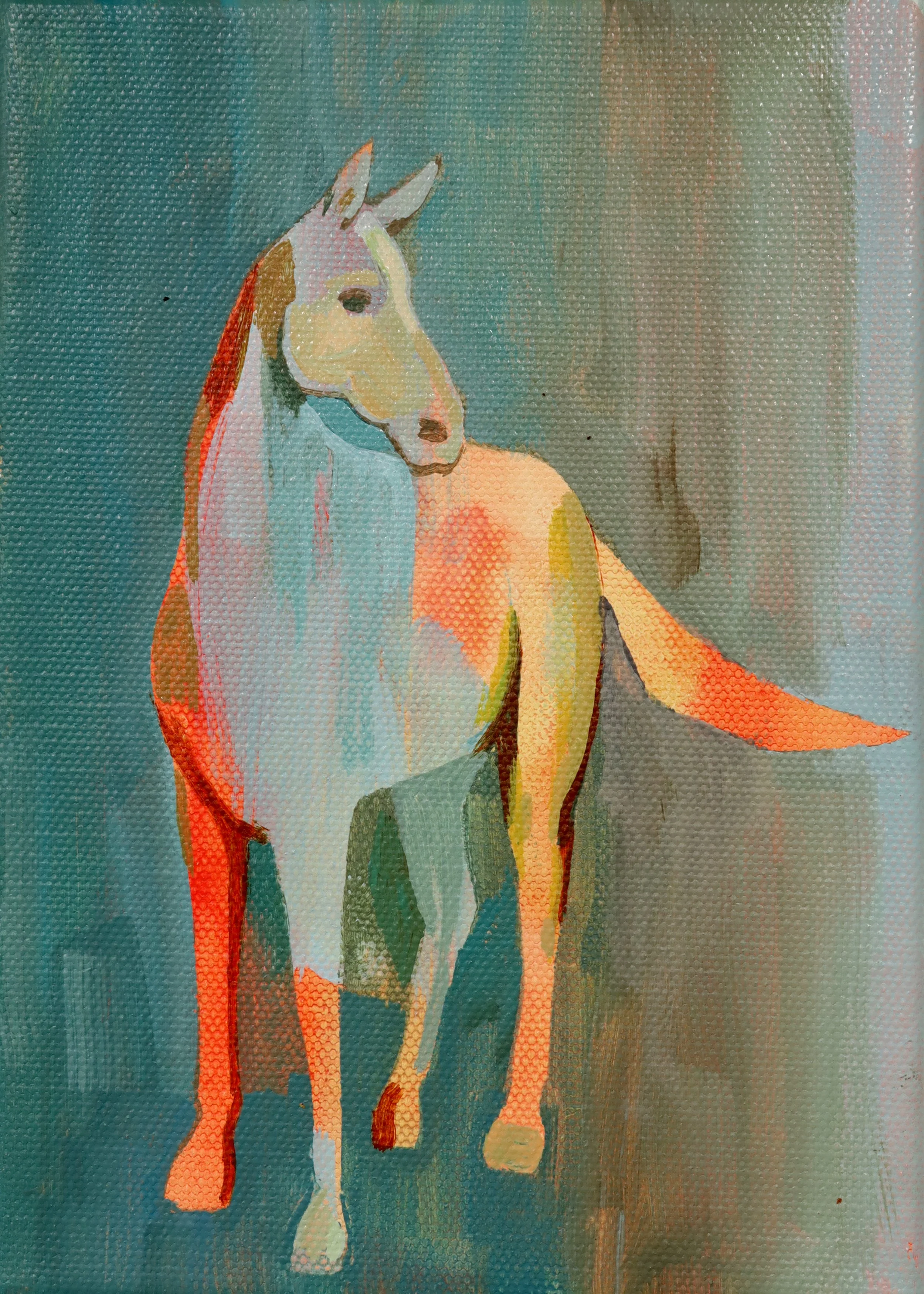 Bareback Summer 1.jpg