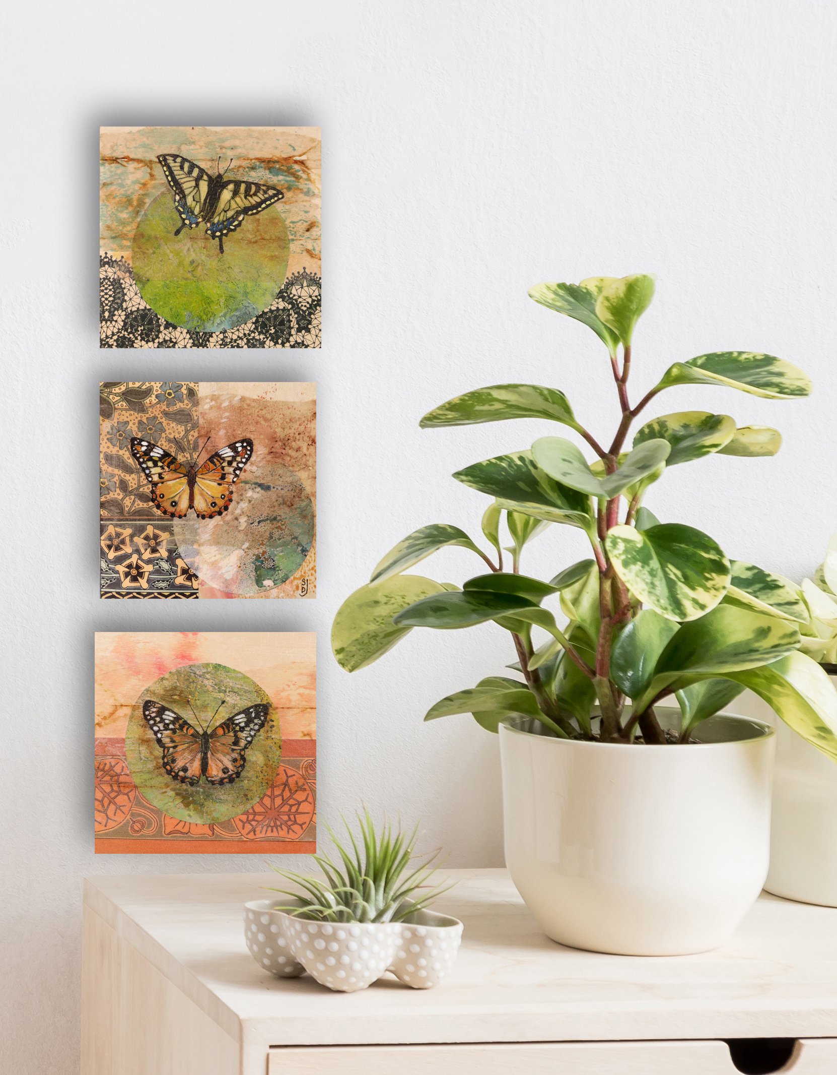 small butterfly wall.jpg