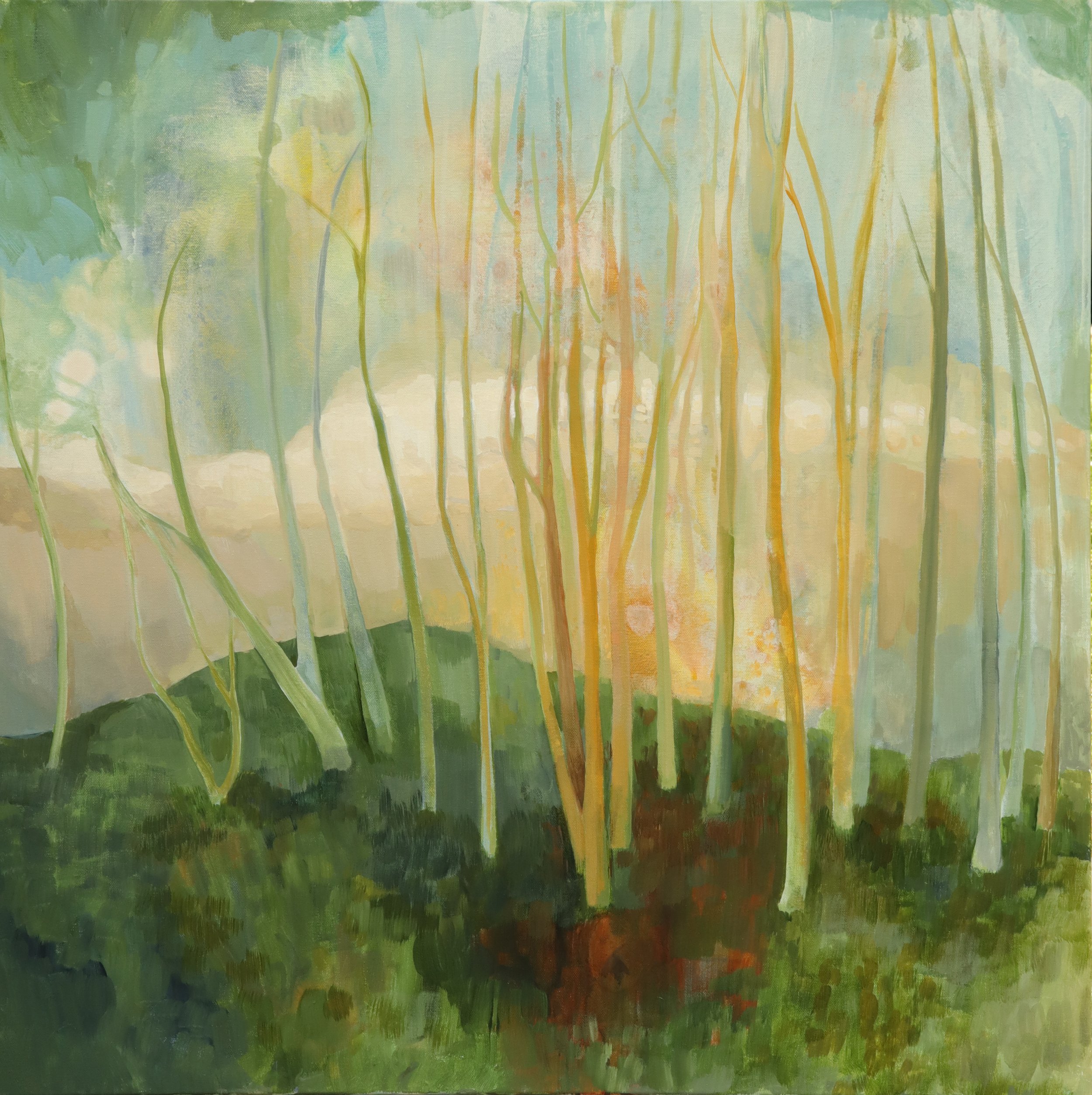 Pastel Grove.jpg