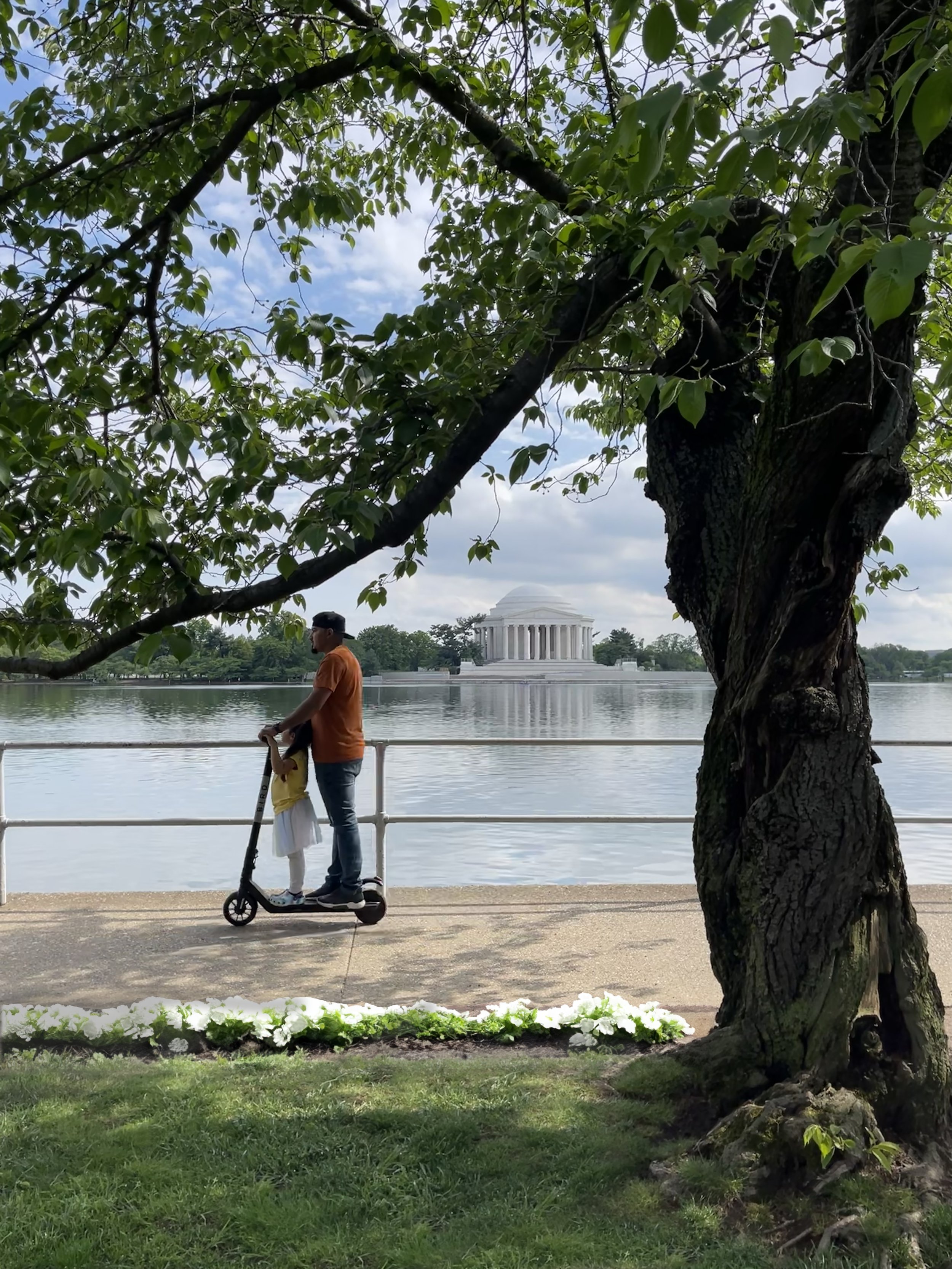 jefferson monument w flowers copy.jpg