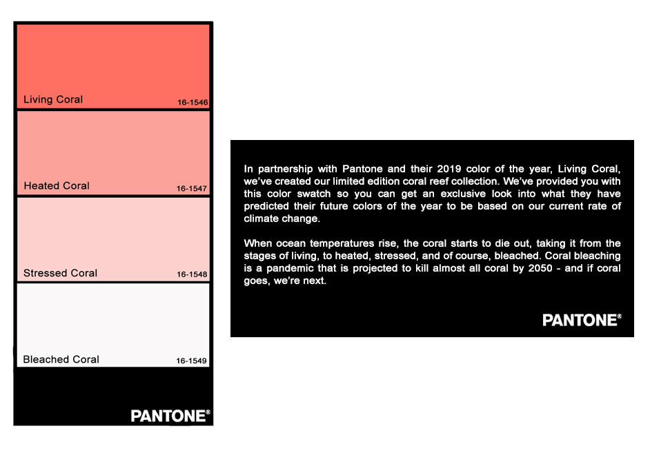   After a short while of the consumer  using their items from our collection, the color dies out, but the buzz is born  