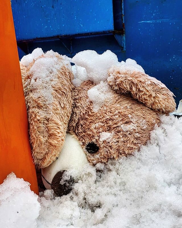 The circle of life. 🙁

#teddybear #garbage #winter #dead #roadkil #gng #dailygrind #work #buriedtreasure