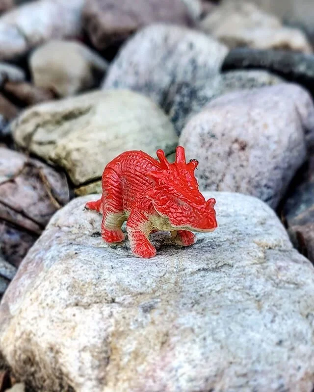 Working in Jurassic Park today.

#ottawa #ottawalife #ottcity #myottawa #613 #yow #gng #hardwork #dailygrind #landscaping #dinasour #stilllife #portrait #miniature #nature