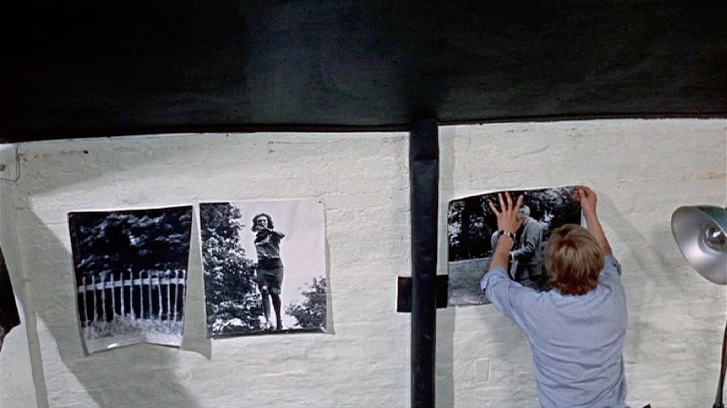 Thomas places photos in a series. Antonioni photographs him as an unknowing part of the series.