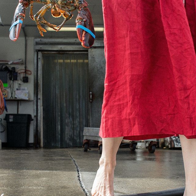 &copy; Lisa Vollmer. A Self-Portrait on Martha's Vineyard, 2019.
:
:
#marthasvineyard #menemsha #sea #lobster #trap #reddress #ocean #pier #german #american #culturalexchange #culturalheritage #selfportrait #fineartphotography #photography #fisherman