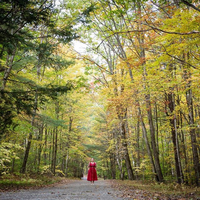 &copy; Lisa Vollmer A Self-Portrait in the Berkshires. Fall Foliage, 2019. :
:
#fineartphotography #photography #selfportrait #canon #velo #fallfoliage #berkshires #yellow #red #road #trees #colors #culturalheritage #culturalexchange #german #america