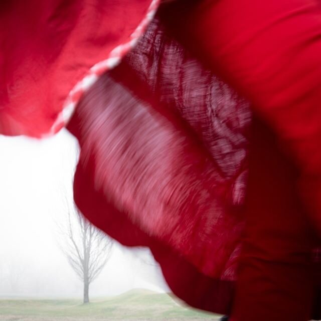 &copy; Lisa Vollmer A Self-Portrait in the Berkshires, 2020:
:
:
#selfportrait #fineartphotography #reddress #winter #fog #trees #landscape #theberkshires #berkshires #photography #selfie #stockbridge #massachusetts #artist #solo #solotravel #solotra