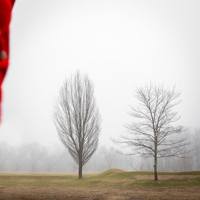 &copy; Lisa Vollmer A Self-Portrait in the Berkshires, 2020:
:
:
#selfportrait #fineartphotography #reddress #winter #fog #trees #landscape #theberkshires #berkshires #photography #selfie #stockbridge #massachusetts #artist #solo #solotravel #solotra