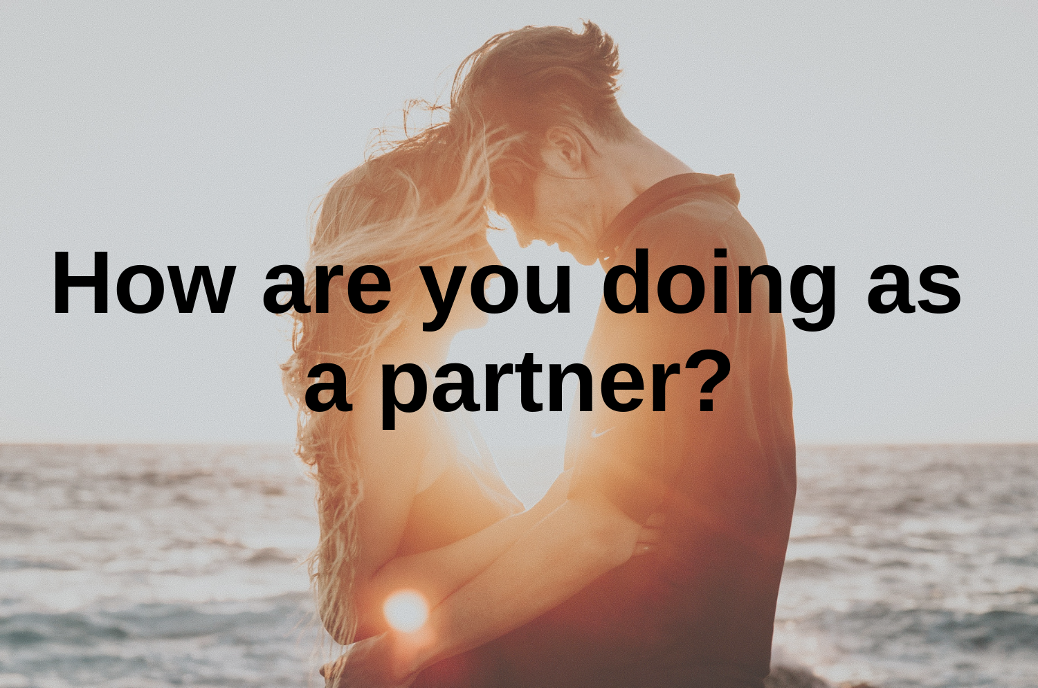 partner.png