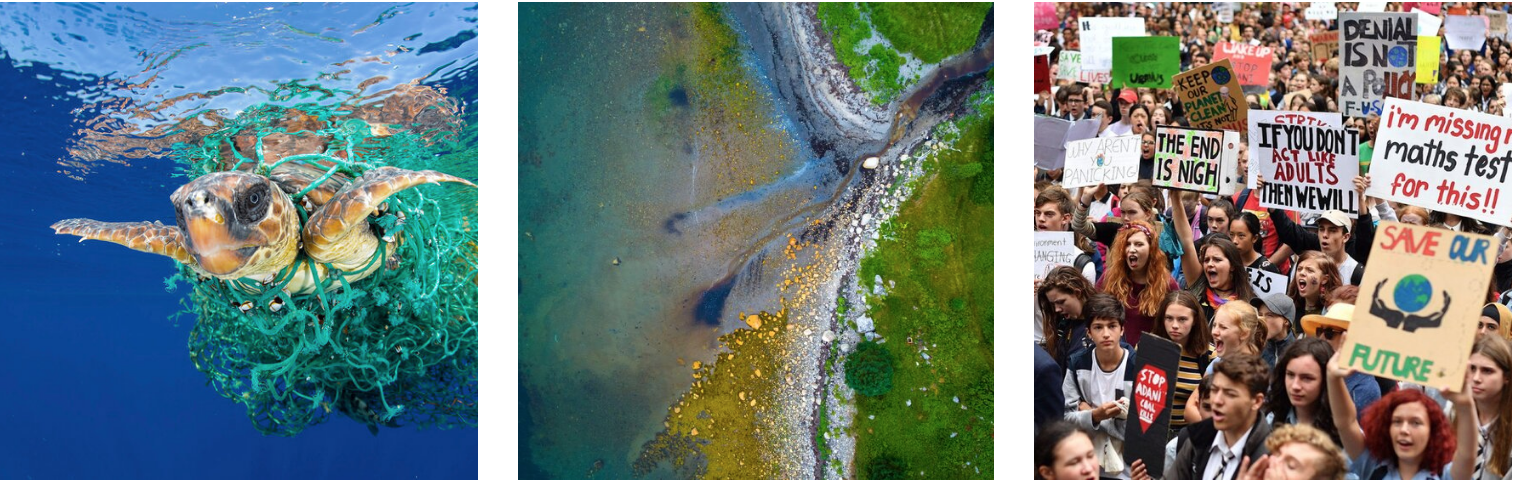 Screen Shot 2020-03-05 at 11.49.27 AM.png