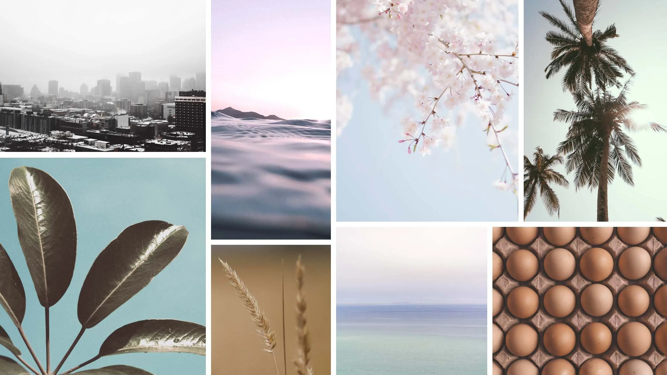 Mood Board for Color Palette No.2_Cloud
