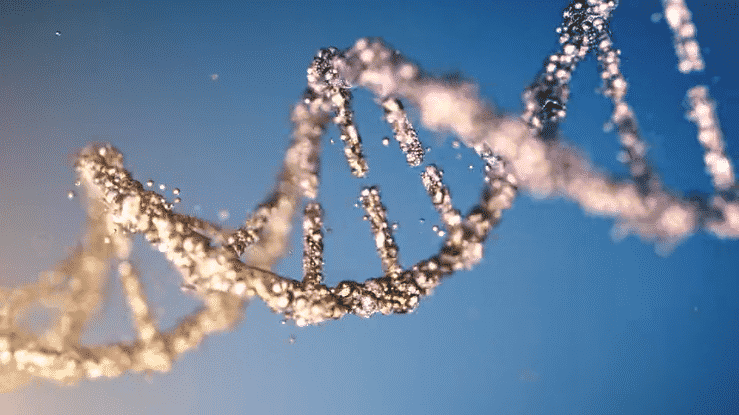 Baptist MD Anderson - Designed to Beat Cancer-high.gif