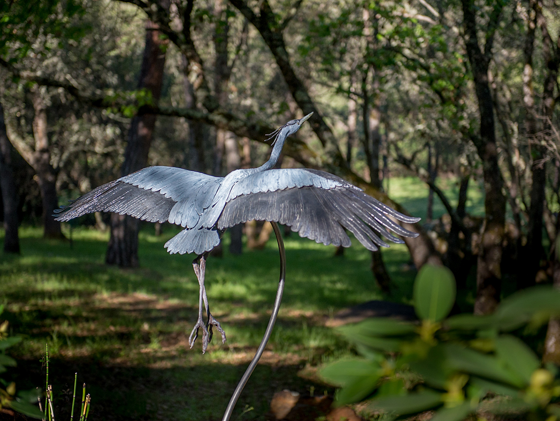 stargaard-art-great-blue-heron-1.jpg