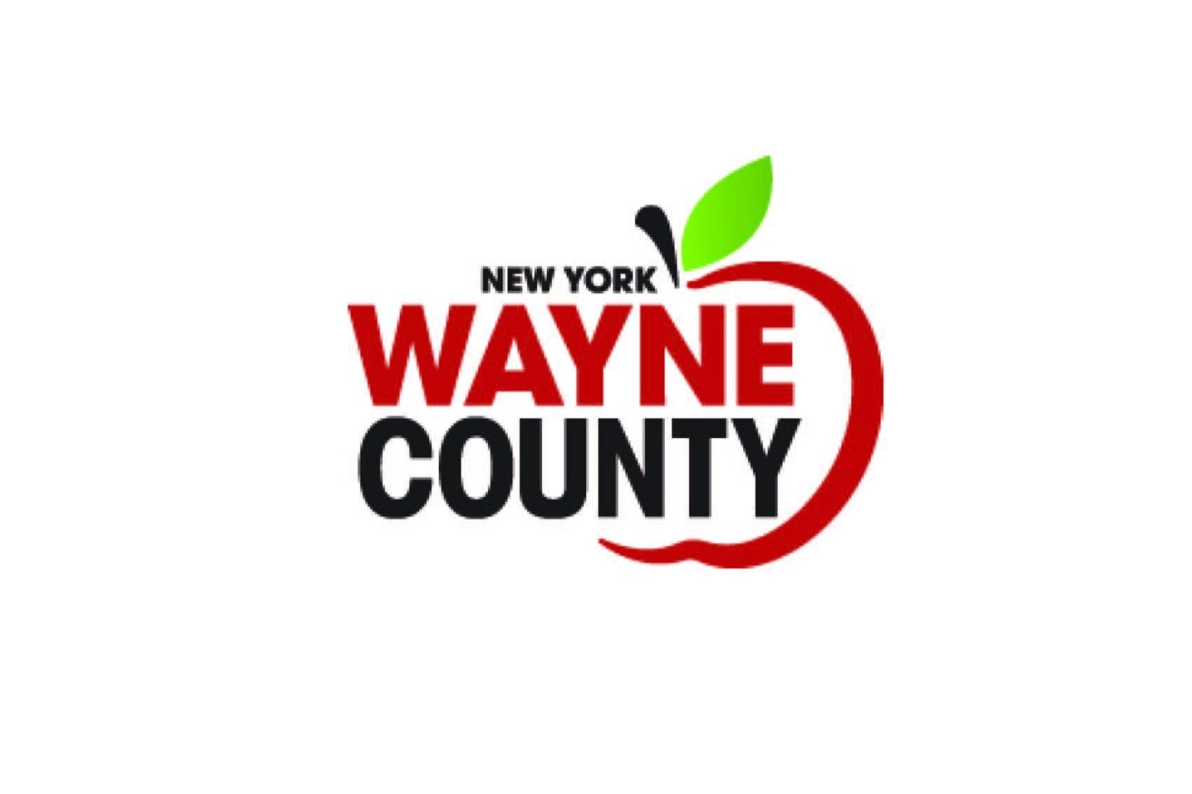 Wayne County logo (Copy)