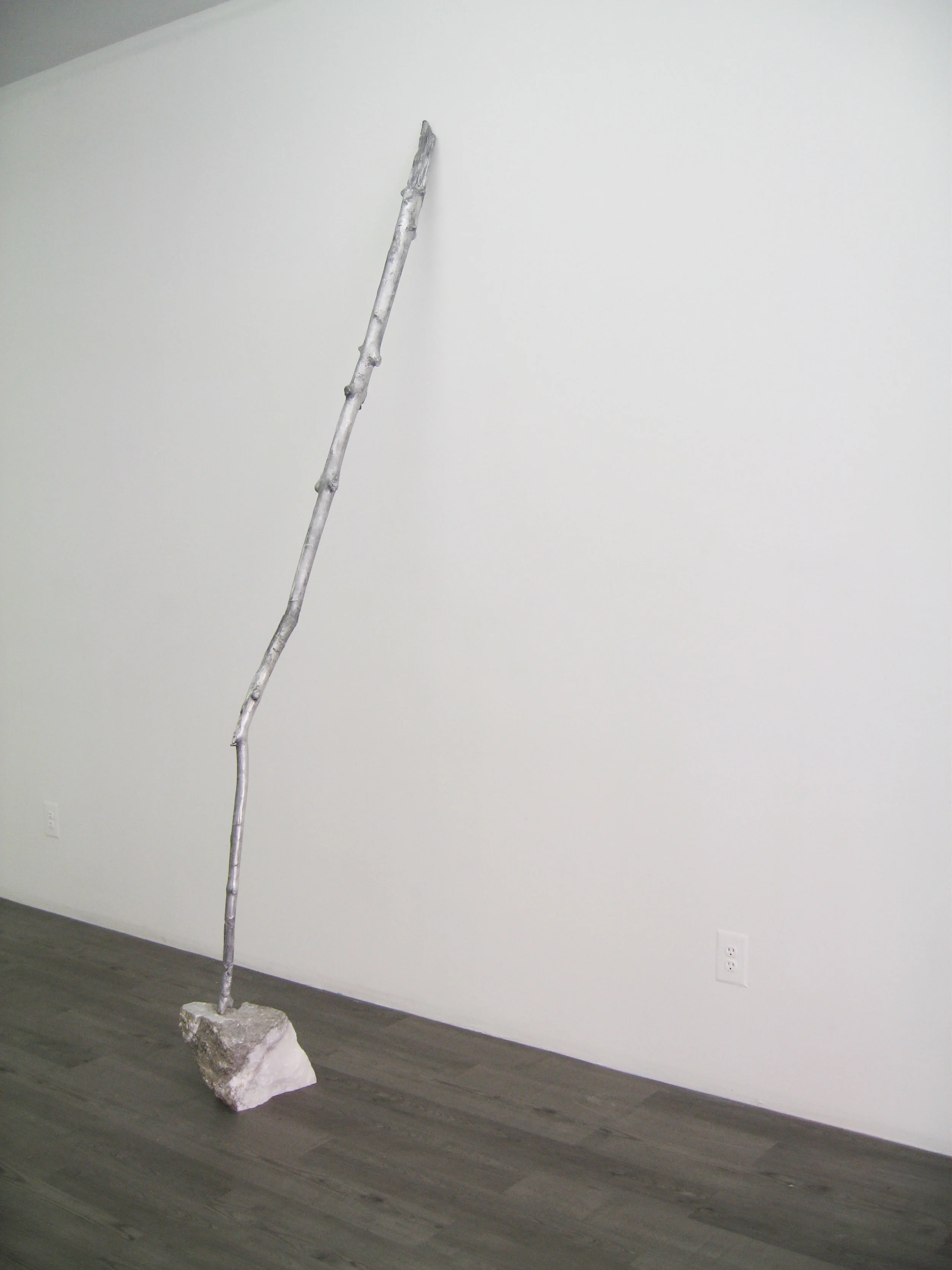 Trail, 2013