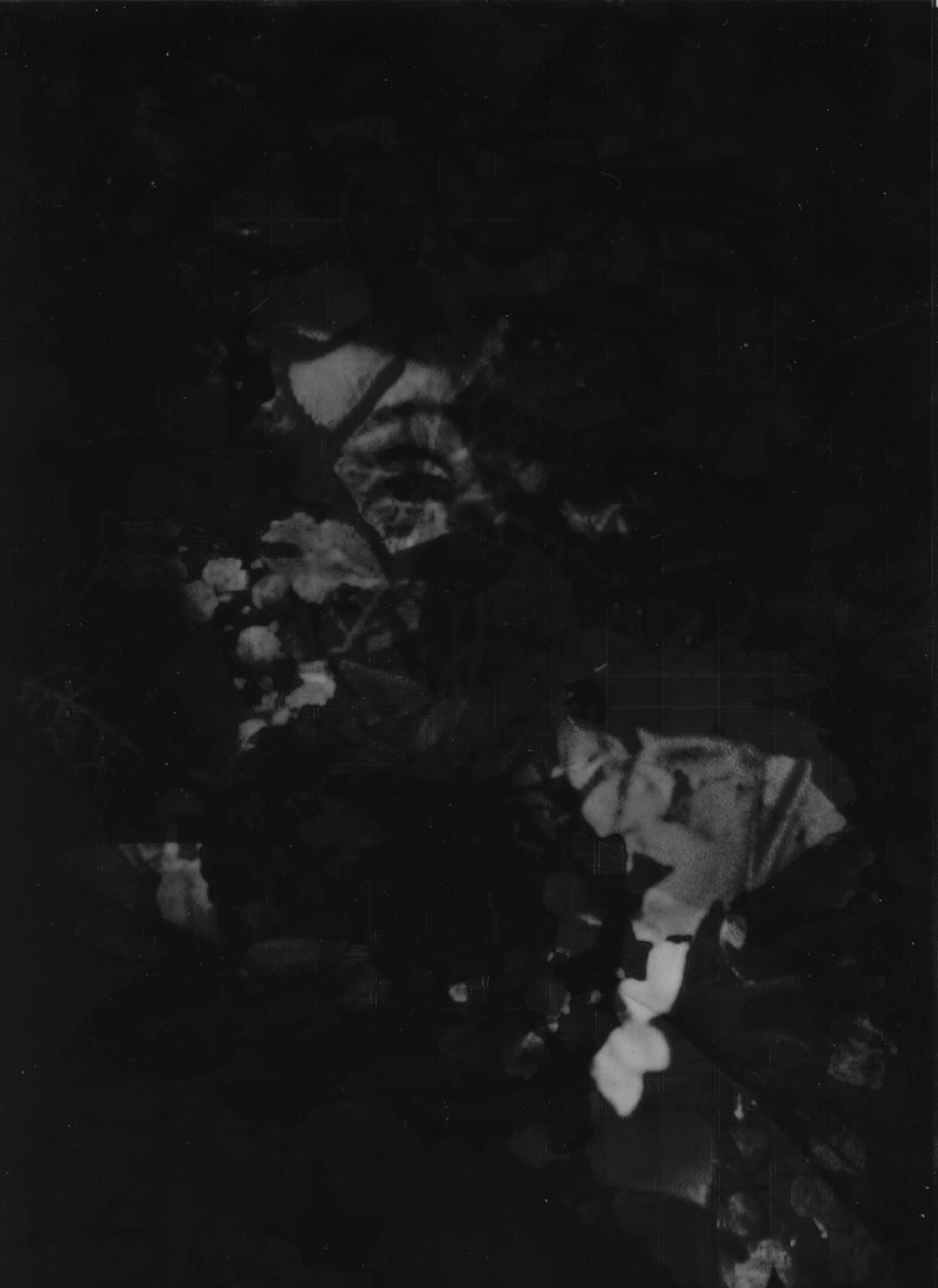 OF MD3, 2017