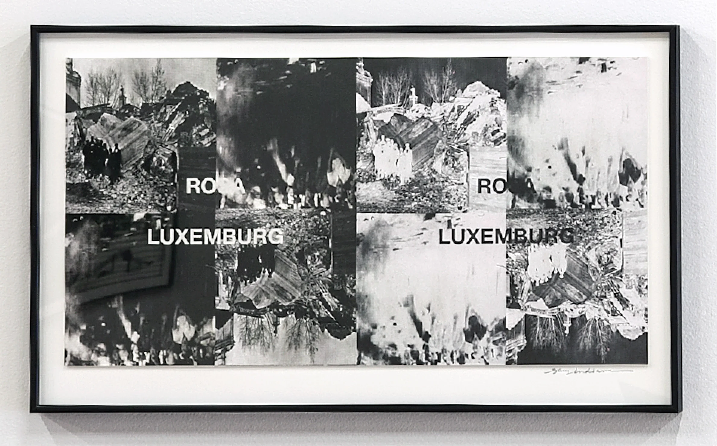 Untitled (Rosa Luxemburg), 2012