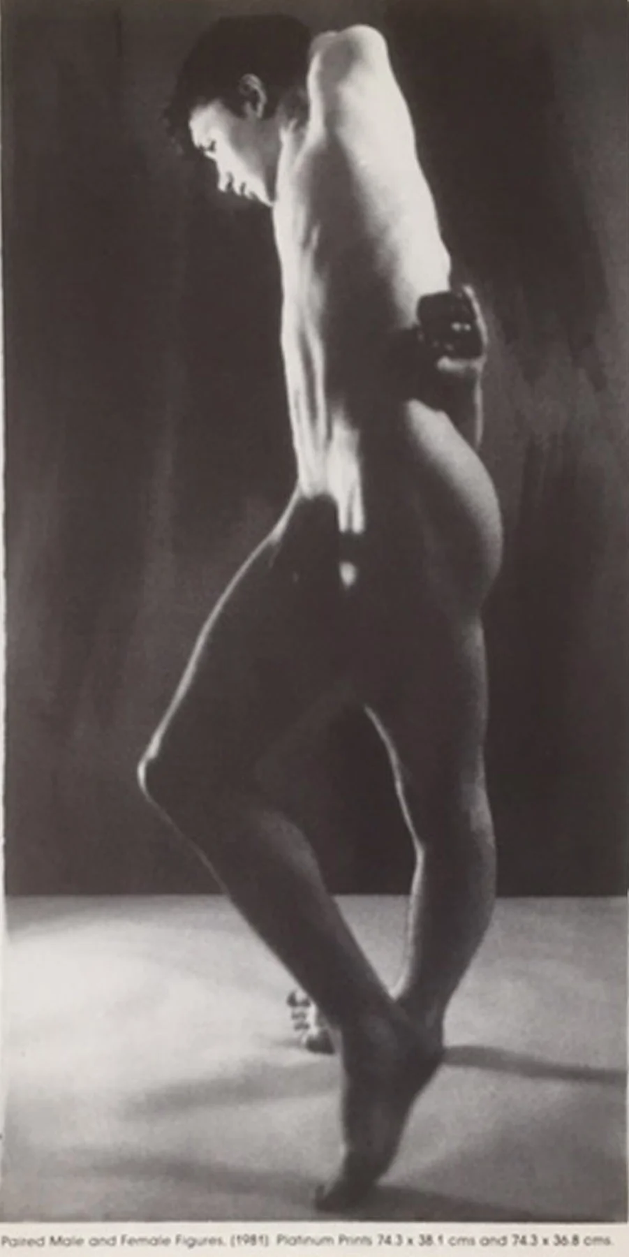 Untitled, 1981