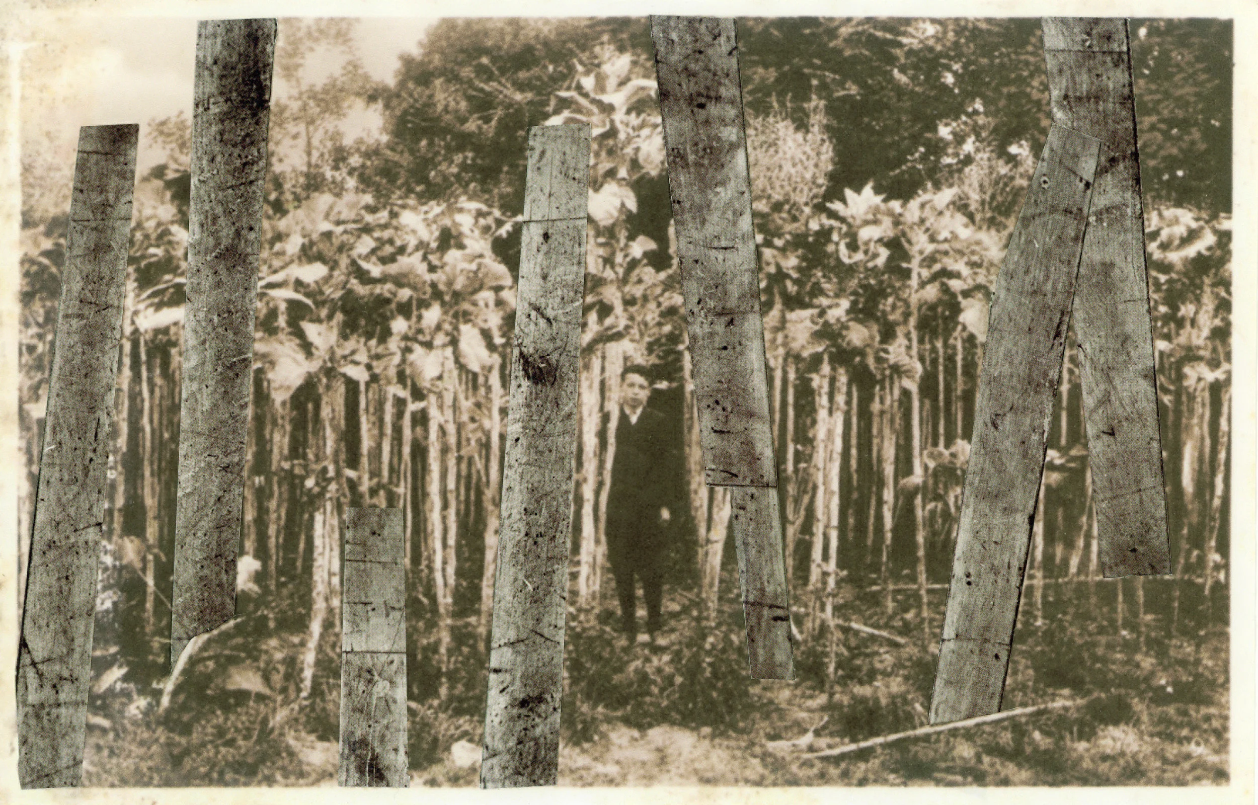 Untitled, 2013